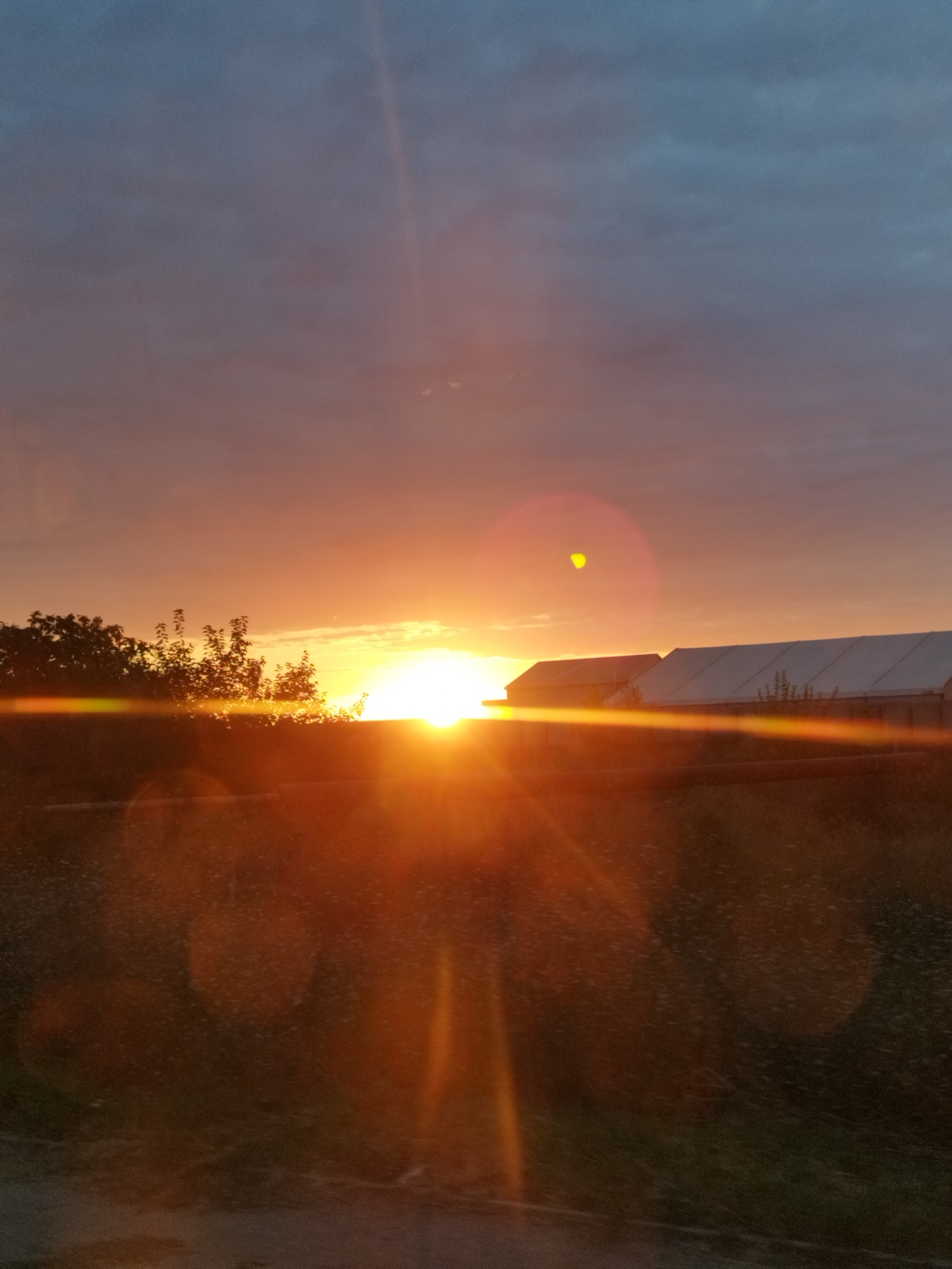 The image depicts a sunset over what appears to be a rural or semi-rural area, possibly on the outskirts of Chitila, Romania. The sun, a brilliant orb, is low on the horizon, casting a strong orange glow that saturates the lower half of the image. Lens flare is prominent, creating bright streaks and circular reflections across the scene.

In the foreground, a dark, indistinct field or ground is visible, possibly a dirt road or a patch of vegetation. Above this, silhouetted trees with dark foliage are visible on the left side. Further to the right, two large, white, tent-like structures or agricultural buildings are partially visible, their roofs illuminated by the sunset. The sky transitions from a deep orange near the horizon to a dusky blue and gray at the top, with some scattered clouds. The overall impression is one of a tranquil, end-of-day scene, amplified by the dramatic lighting of the setting sun.