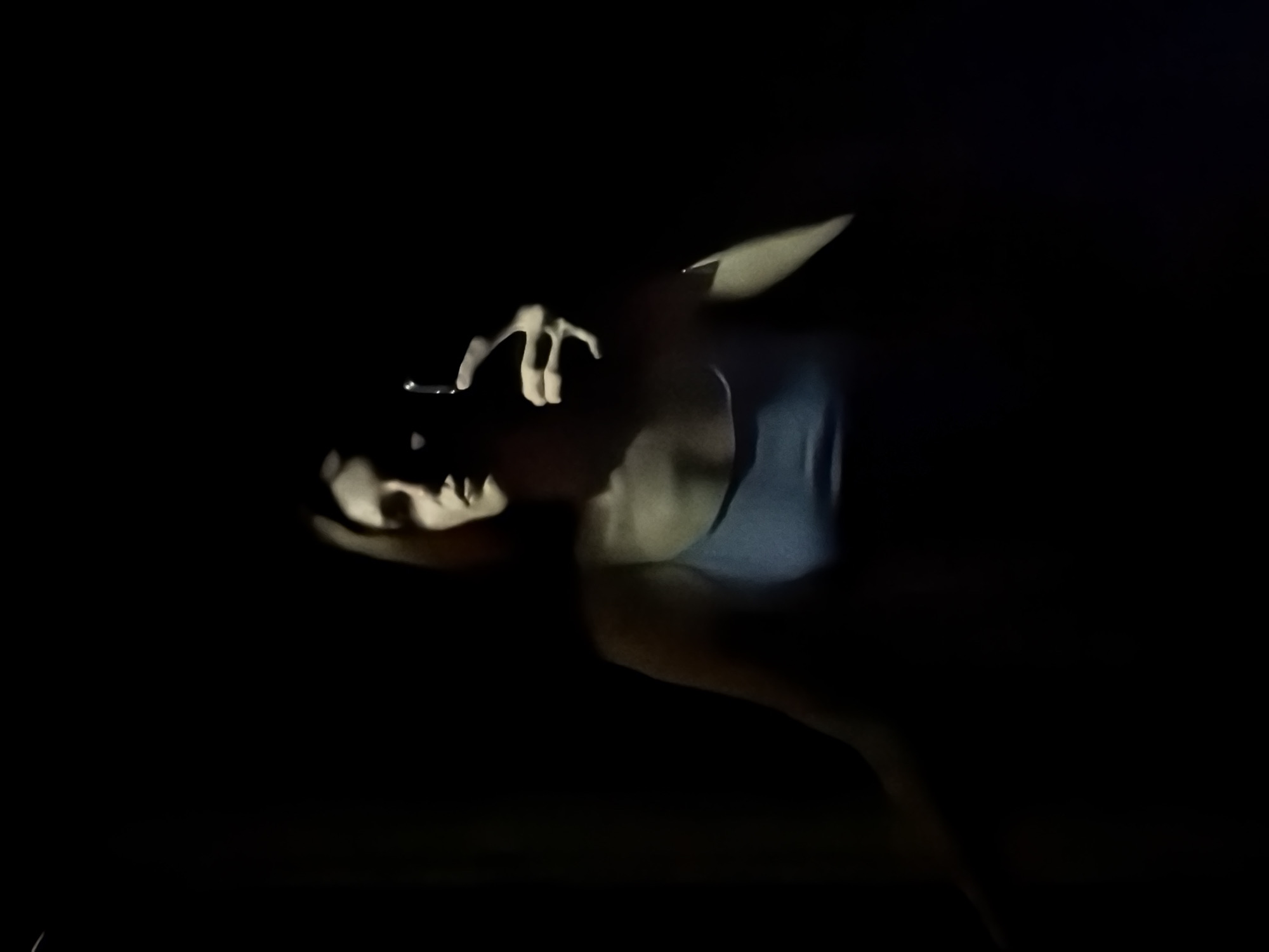 The image depicts a person standing in near darkness. A light source illuminates the person's face from below, casting shadows and obscuring details. The person is wearing a tank top. The face is angled downward. There are no distinct background details. The image location in the city of Chaikovsky, Russia is unsubstantiated, as there is no information in the image to confirm the location.