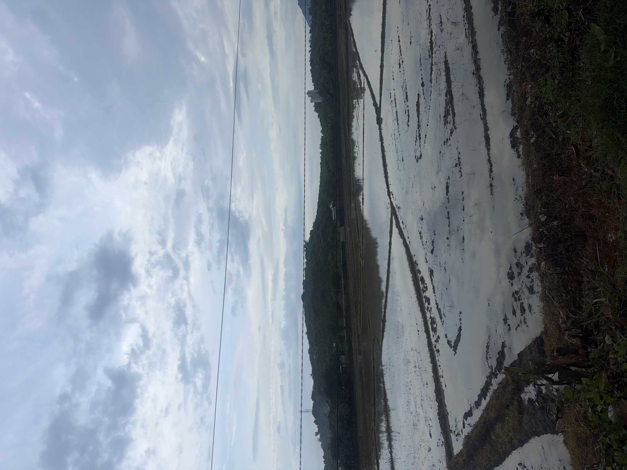 The image shows a cloudy sky over flooded rice paddies. The paddies have been tilled, and the dark soil is visible beneath the water. The water reflects the overcast sky, creating a muted, gray palette. In the distance, a line of lush green trees and hills forms the horizon. A tall, modern building is visible on one of the hills, and a power line stretches across the sky. The foreground shows a patch of dry earth and vegetation. The scene appears to be set in Diên Thọ, Vietnam, a rural area known for its agriculture.