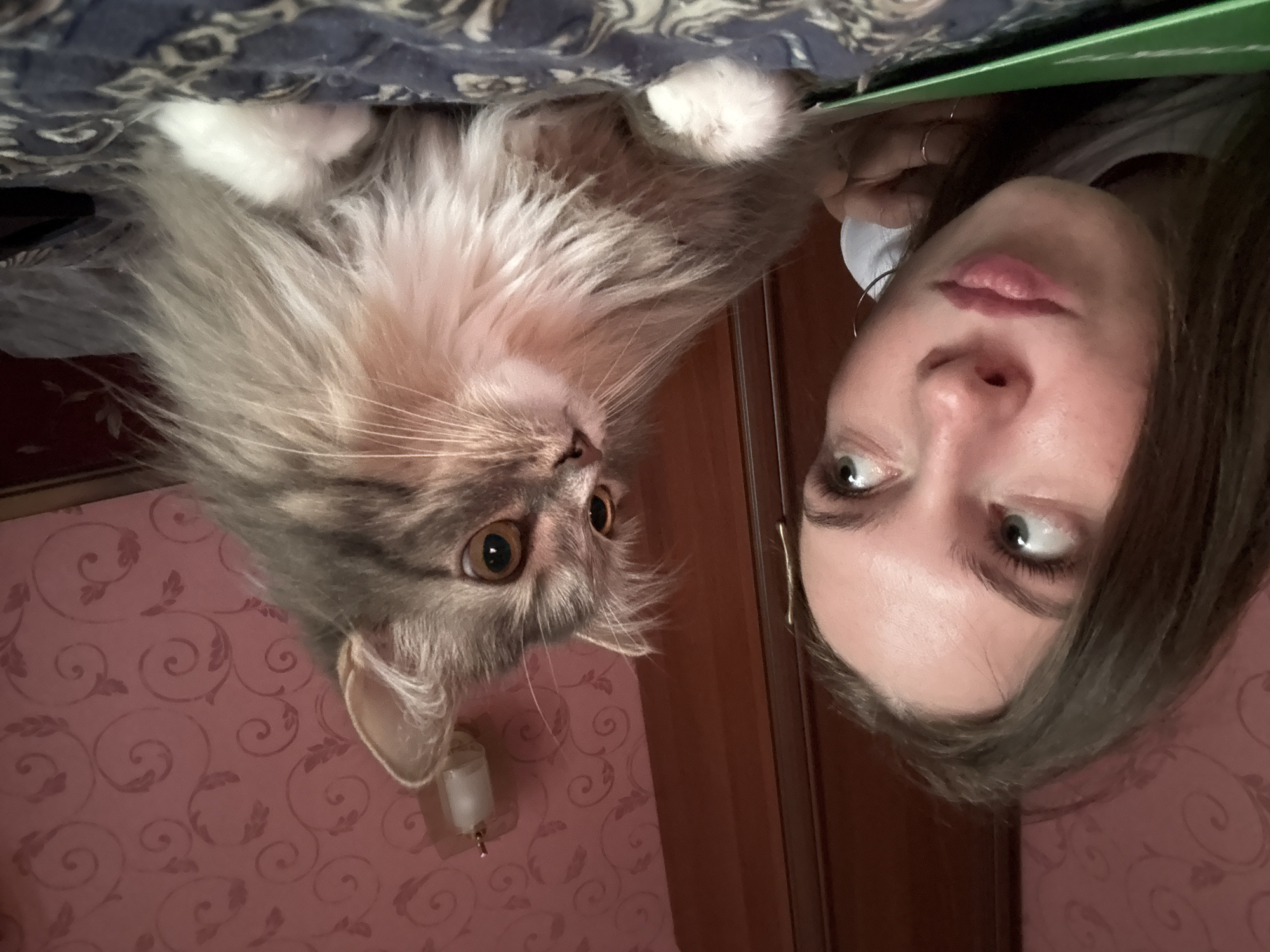 In this medium shot, a young woman with long brown hair, wearing a white t-shirt, is positioned on the left side of the frame, looking towards a fluffy grey and white cat on the right. The woman's facial expression is curious or playful, with pursed lips and eyes directed at the cat. The cat, a long-haired breed, is looking directly at the woman with wide, amber eyes. The scene appears to be indoors, possibly in a bedroom, with a wooden wardrobe or door on the left and patterned wallpaper in a pink hue on the background. A light fixture is visible on the wallpaper. The subjects are on a bed with a patterned blue and white comforter. The image quality is somewhat grainy, suggesting it may have been taken with a mobile phone camera in low light conditions. The city of Perm, Russia, is not explicitly indicated in the image, and there are no discernible elements that definitively place the scene in that specific location.