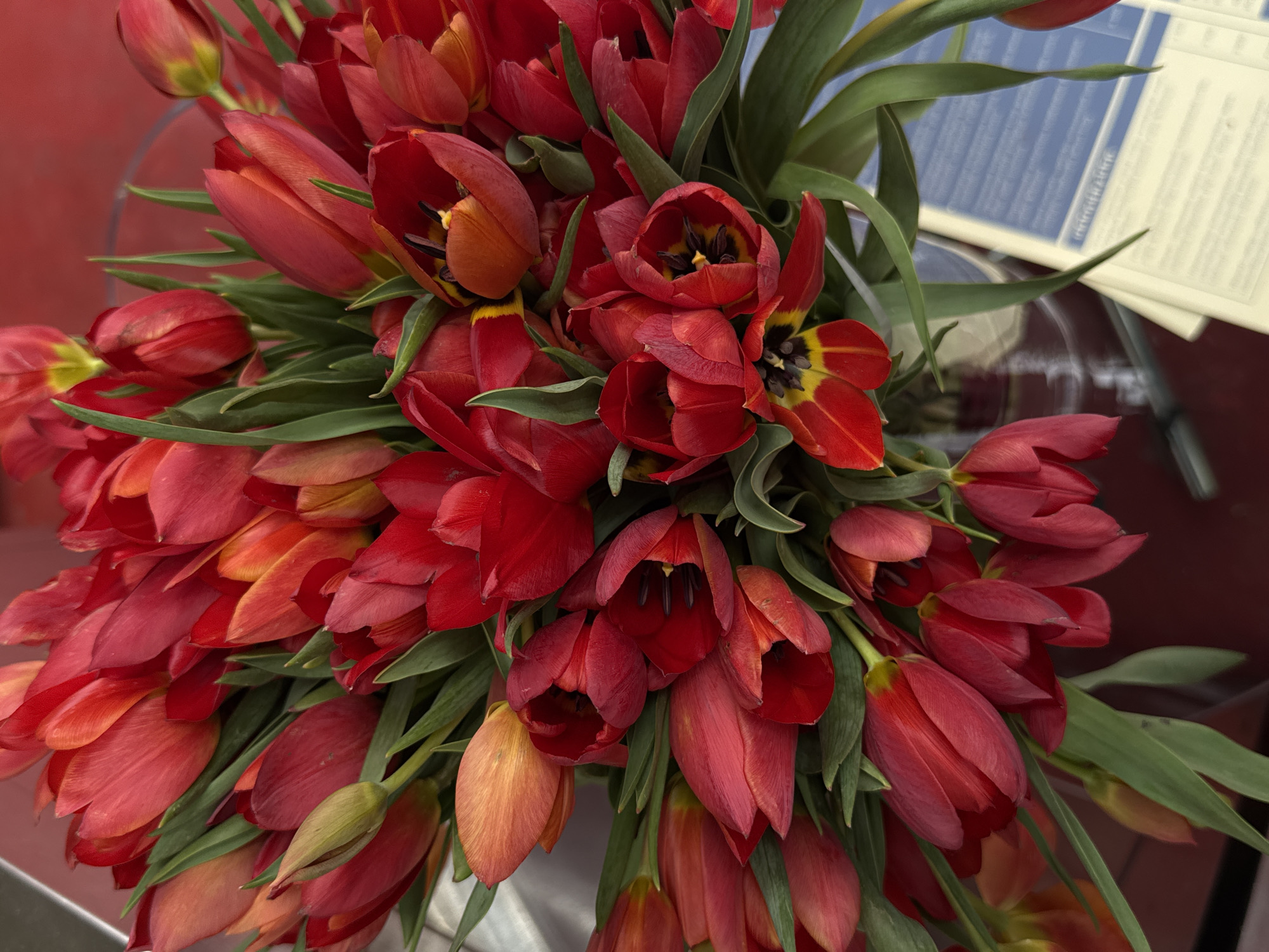 A high-angle, close-up shot reveals a lush bouquet of red tulips. The tulips vary in appearance, some tightly closed, others with petals slightly open, and a few fully bloomed displaying dark centers with yellow accents. Green leaves intermingle amongst the flower heads. The bouquet is contained within a clear glass vase, visible in the background. A red surface appears behind the bouquet, while a document or card with blue text and white background is present to the right, suggesting the bouquet is placed on a table or counter. The scene does not provide any information about the location in Yerevan, Armenia.