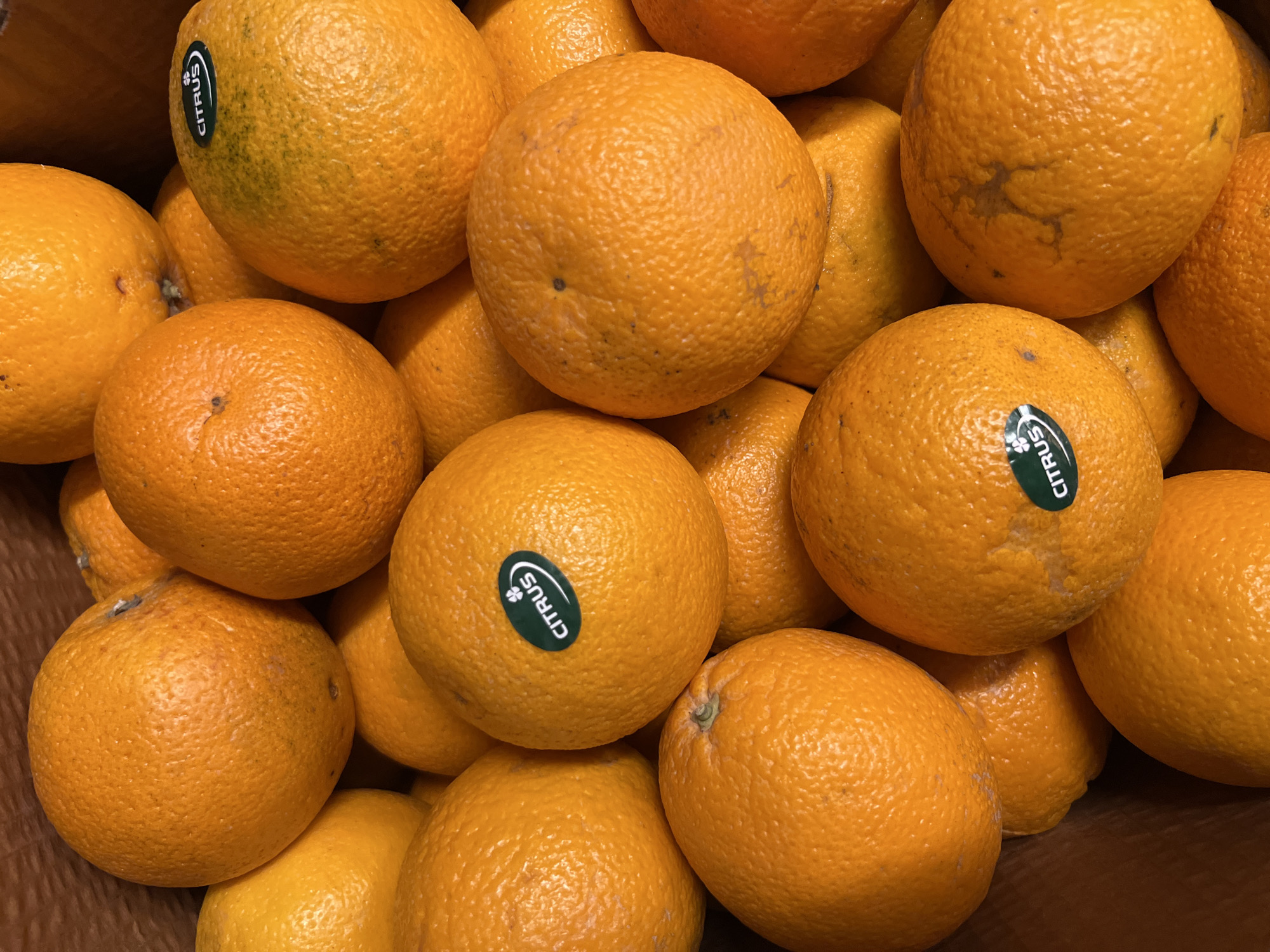 The image shows a close-up, overhead view of a pile of oranges in a cardboard box. The oranges are mostly round with textured skin, varying in shades of orange. Some of the oranges have small blemishes or darker markings on their skin. One orange in the upper left has a green sticker with white text that reads "CITRUS". Another orange in the center has a similar green sticker with white text that reads "CITRUS". The lighting appears to be artificial or from an overcast sky, creating soft shadows. The scene is likely a market or grocery store setting, given the packaging and arrangement of the fruit. There are no people visible in the image. The time of day and weather are not discernible from the image. The location context of Budva, Montenegro is not indicated by any visual cues in the image itself.