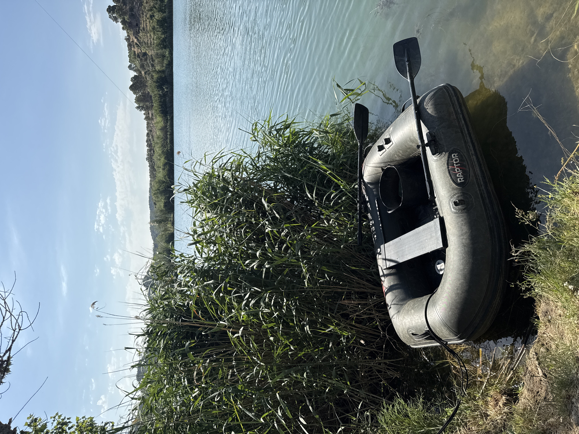 An inflatable dark gray raft is moored at the edge of a body of water, partially submerged in reeds and grassy terrain. The raft features two black oars, one extending diagonally from the right side and the other resting across the raft. A black bucket is visible inside the raft, and the word "RAPTOR" is emblazoned on its side. The water is a clear, light blue with gentle ripples. Behind the raft, a dense growth of green reeds rises, forming a natural barrier. Beyond the reeds, a sun-drenched landscape unfolds, featuring a rolling hill covered with trees and sparse vegetation under a bright blue sky with scattered white clouds. The scene suggests a tranquil outdoor setting, likely in a natural environment.