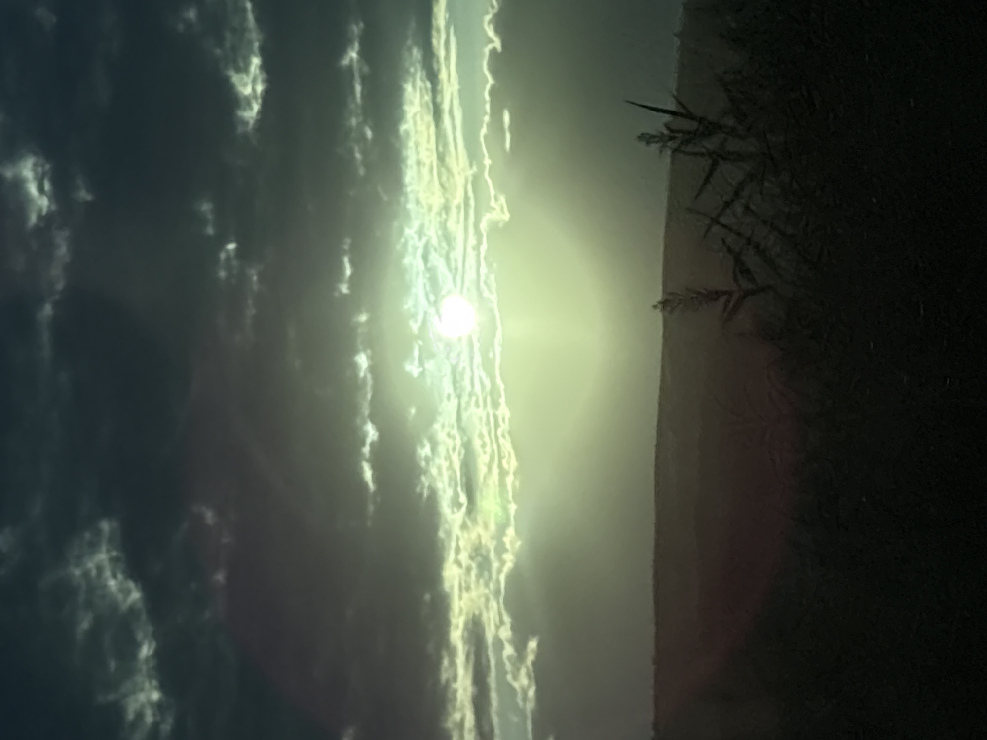 The image shows a sunset over a rural landscape. The sun is partially obscured by clouds, casting a green glow across the sky. In the foreground, silhouetted reeds and grasses are visible against the darkened landscape. The horizon is marked by a subtle rise in the land. The location is identified as Lysogorskaya, Russia, implying a setting typical of that region.