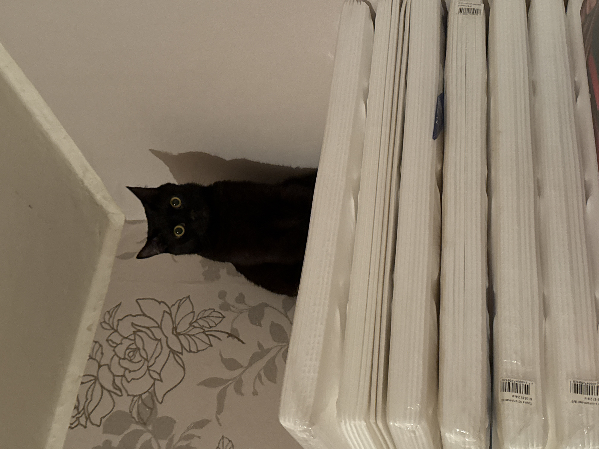 A black cat is partially hidden behind a stack of white, fluted columns (likely decorative trim) stacked vertically against a wall decorated with a gray floral pattern. The cat's head and eyes are visible, suggesting it is looking towards the viewer. The columns are wrapped in clear plastic. The location is not discernible.