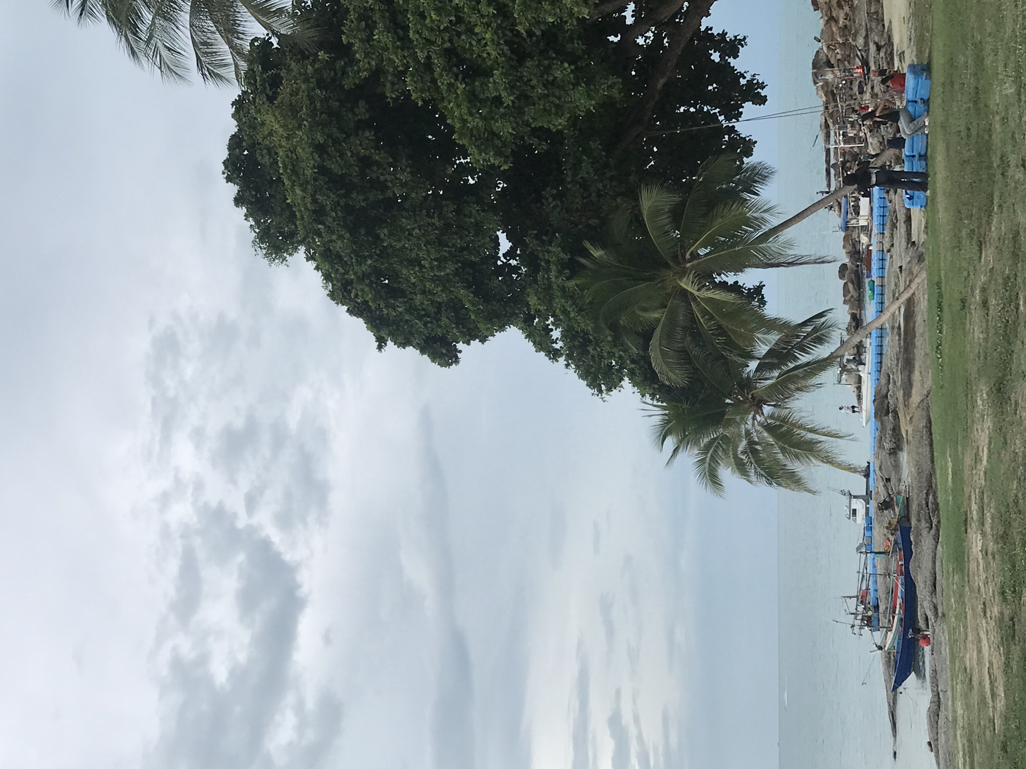 The image shows a coastal scene in Baan Chaweng, Thailand. The sky is overcast. In the foreground, there is a grassy area on the right, with a rocky shoreline separating it from the water. Several boats are docked along the shore, and some are fishing boats. Palm trees and other lush vegetation are visible, providing shade along the coast. A man is standing near a small pier made of blue plastic containers. Some people are working.