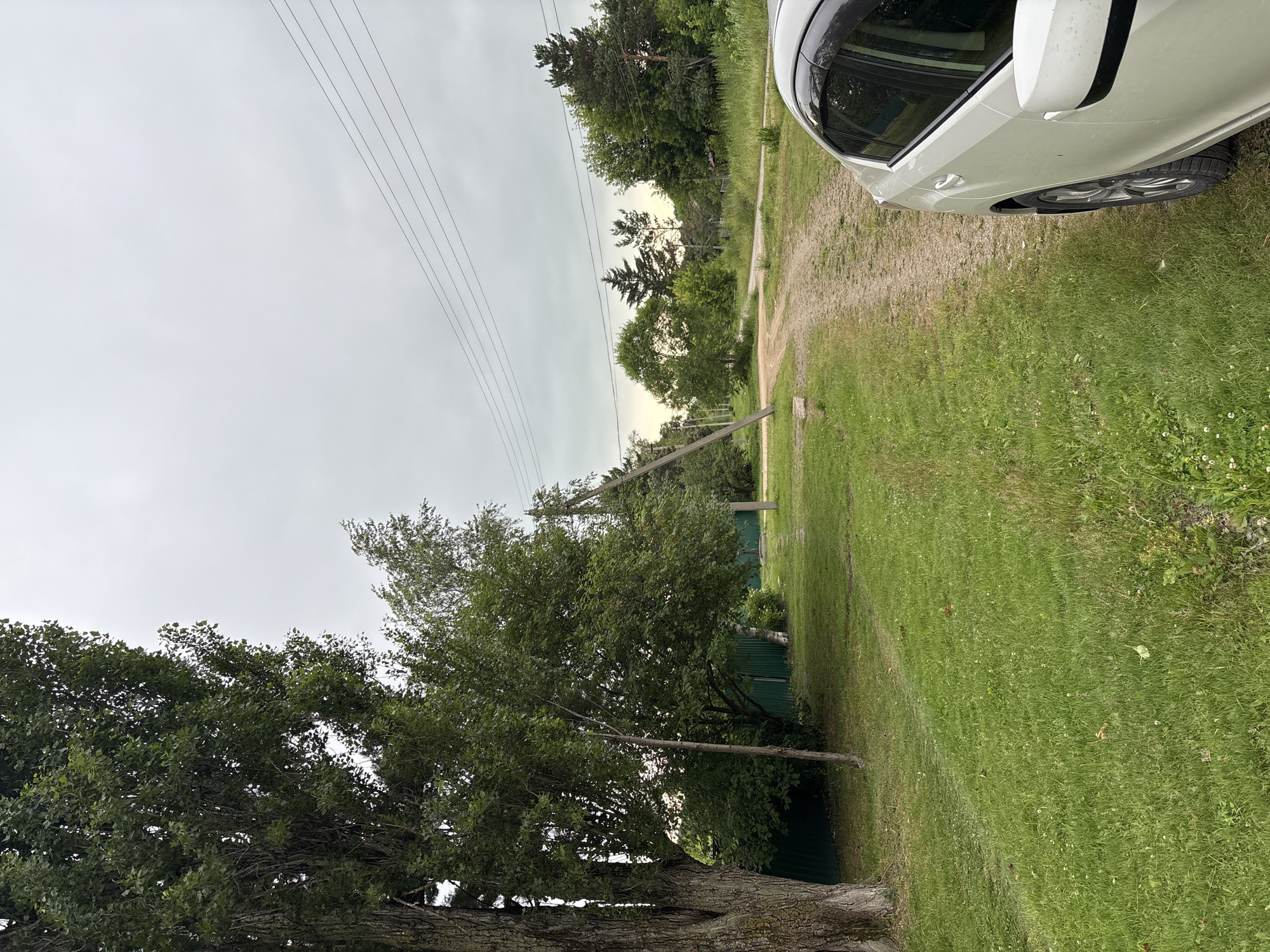 A bright white car is parked on the right side of a dirt road. The road curves to the left and continues into a wooded area. On the left side of the road, there is a large tree with a thick trunk and dense green foliage. Beyond the tree, a green metal fence is visible. The ground is covered in green grass with some patches of wildflowers. The sky is overcast, and power lines stretch across the top of the image. The scene appears to be in a rural setting, possibly on the outskirts of the city of Siniy Gay, Russia, given the presence of the car and the natural landscape.