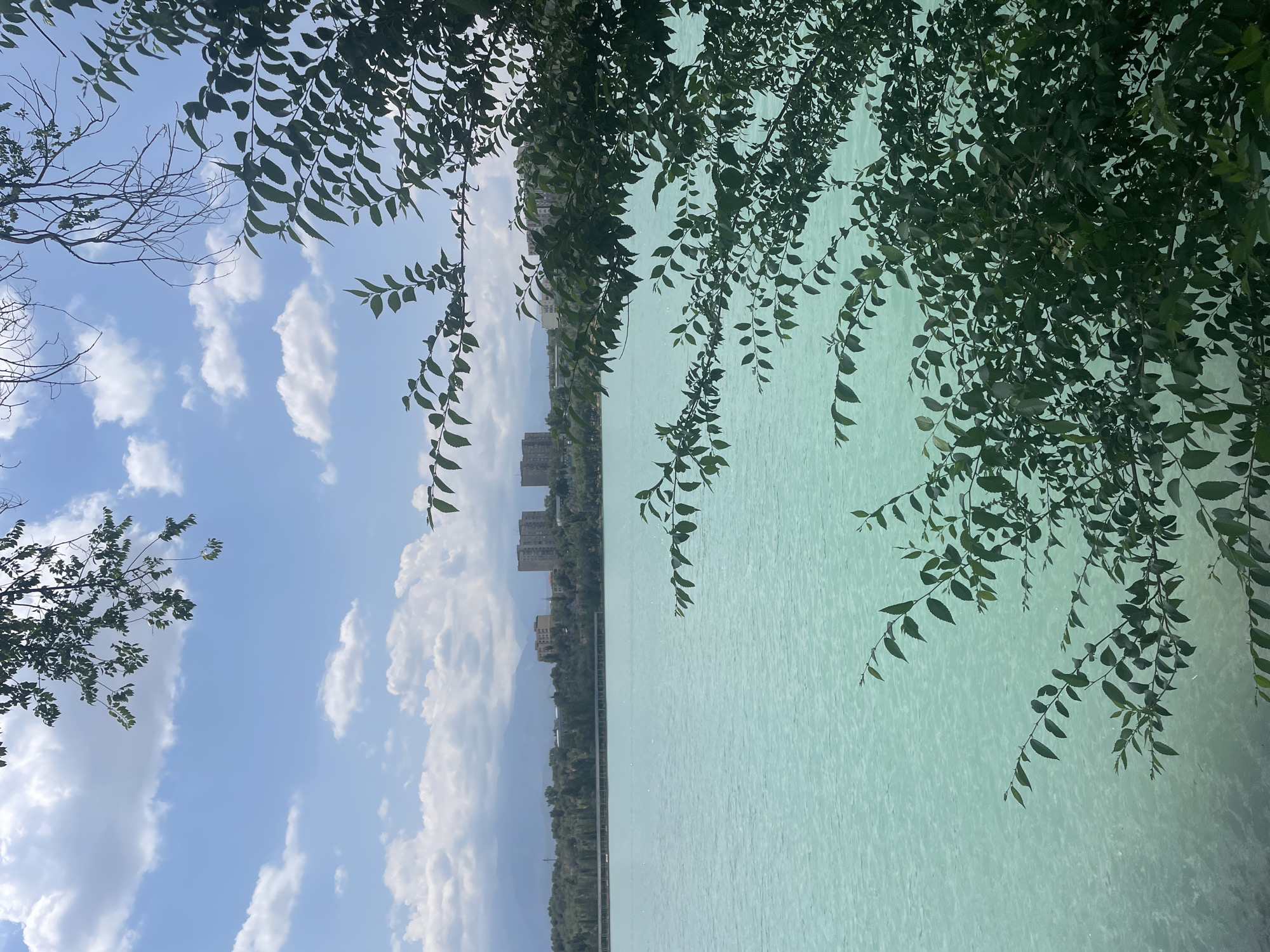 The image depicts a scenic view of Big Almaty Lake in Almaty, Kazakhstan. In the foreground, lush green branches and leaves frame the scene, partially obscuring the view. The lake itself is a striking turquoise color, with gentle ripples on its surface. Across the water, a distant treeline separates the lake from a city skyline, characterized by several multi-story buildings. In the background, hazy mountains rise against a bright blue sky dotted with fluffy white clouds. The overall impression is one of natural beauty and urban proximity.