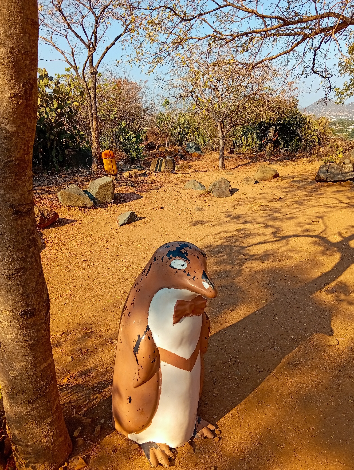A worn brown and white penguin statue, featuring large eyes and a faint brown bow tie, stands in the foreground, positioned to the right of a thick tree trunk. The statue shows signs of chipping and peeling paint on its head and body. Its long shadow stretches across the sandy ground to the right.
The scene is set in an arid outdoor environment with dry, yellowish-brown sandy or dirt ground, where several rocks of varying sizes are scattered. A prominent tree trunk frames the left side of the image, and its branches, along with those of other trees, reach towards the clear blue sky. Many trees in the background appear bare or have sparse, dry foliage, indicative of a dry climate or season. Patches of green cacti or succulents and bushes are visible among the trees and rocks in the midground and background.
In the midground on the left, a bright yellow cylindrical object or container lies partially obscured by vegetation. The distant background reveals rolling hills or mountains under a pale blue sky, with faint outlines of structures or buildings on the horizon. The long shadows cast by the trees and the statue suggest that the photograph was taken during either early morning or late afternoon, characterized by warm, golden sunlight. The overall atmosphere is tranquil and devoid of human presence or activity. The dry vegetation and hilly landscape are consistent with the provided location context of Phan Rang – Tháp Chàm, Vietnam. There is no visible text in the image.