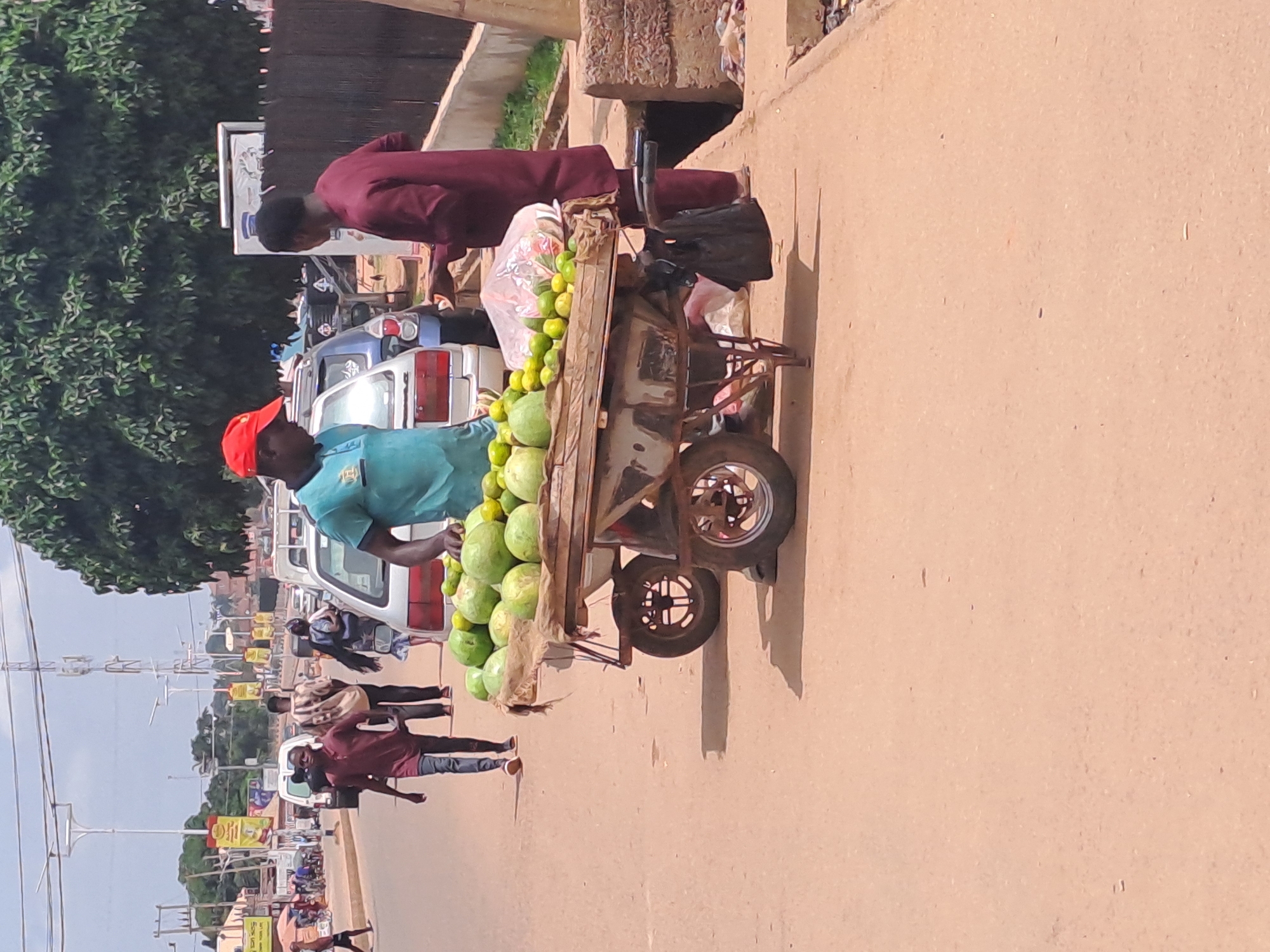 The image depicts a street scene in Sabon Tasha, Nigeria, focusing on a fruit vendor. In the foreground, a man wearing a teal shirt and a red baseball cap stands behind a two-wheeled cart laden with fruits. The cart is filled with a large quantity of green watermelons and smaller, yellowish-green citrus fruits, possibly limes or lemons. A clear plastic bag filled with more produce is also visible on the cart. To the right of the fruit cart, another man in a maroon robe is interacting with the vendor, appearing to examine or purchase the fruit.
The background reveals a busy street with several vehicles, including a white car and a blue car, parked or driving. Pedestrians are visible walking along the street and sidewalk. The environment is characteristic of a bustling urban area, with overhead power lines and streetlights. A large tree with dense foliage stands to the right of the scene. The ground surface is paved, with a distinct reddish-brown hue, suggesting a dirt or laterite road, typical of the region. The lighting indicates it is daytime, with clear shadows cast by the objects and people.