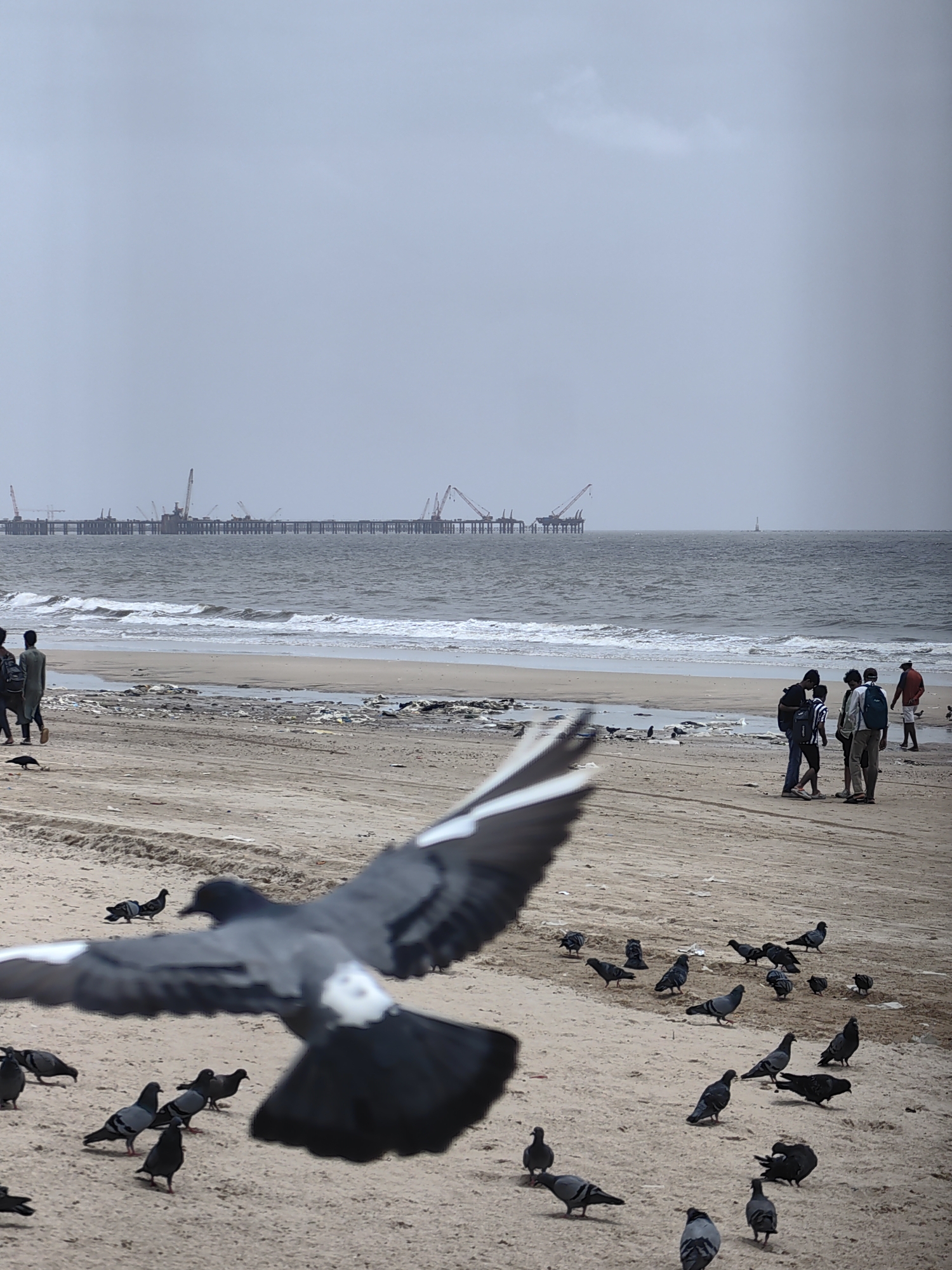 The image shows a beach with a cloudy sky. In the foreground, a pigeon is in flight, its wings outstretched. The sandy beach is littered with some trash. Several pigeons are scattered across the sand. In the middle ground, a group of people are walking and standing on the beach, some with backpacks. Further in the background, the ocean stretches out, with waves breaking on the shore. In the distance, a long pier with construction cranes is visible, suggesting ongoing development or a large industrial area. The overall scene appears to be a public beach in Mumbai, India, possibly near a construction site.