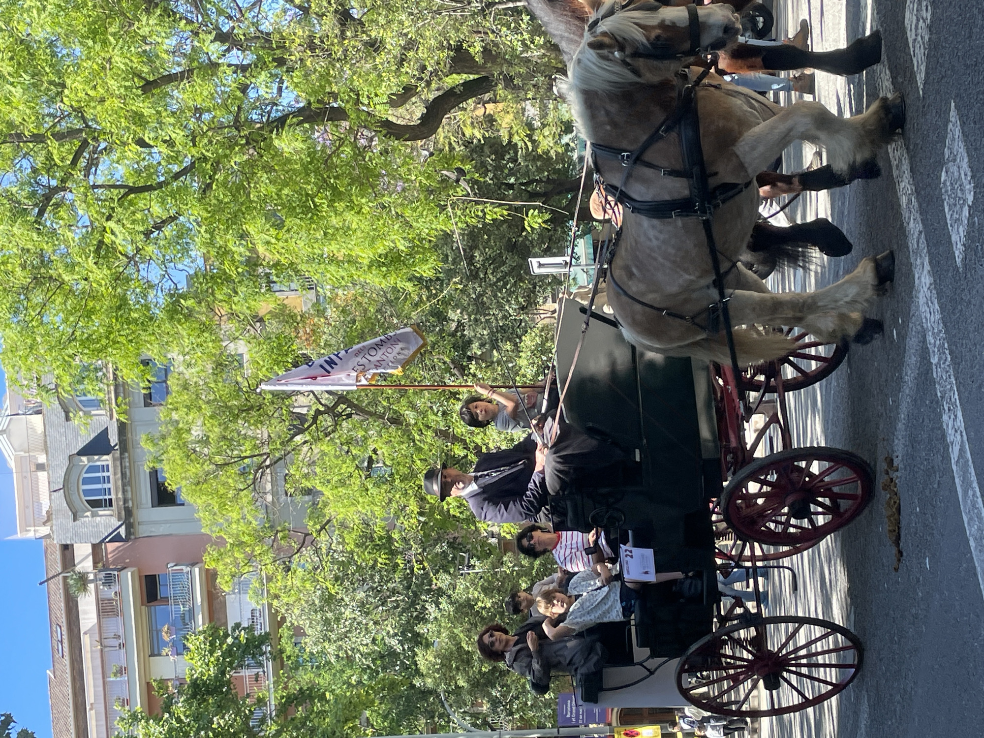 A horse-drawn carriage rides down a street in Barcelona, Spain. Two horses are hitched to the carriage, driven by a man in a hat, with several passengers. A flag flies near the driver's head. The street is paved with white stripes, and lined with buildings and trees. The lighting suggests it is daytime. The carriage is red and black. The passengers include children and adults.