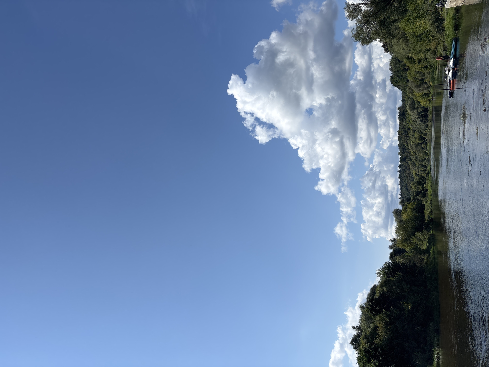 The image depicts a wide, dark river flowing through a lush, green landscape under a bright blue sky with scattered white clouds. The riverbanks are densely covered with trees and foliage, forming a natural, undisturbed environment. On the right side of the river, a small dock is visible, with several small boats tied to it. A person in an orange life vest is standing on the dock. The scene suggests a serene, natural setting, likely in or near Zvenigorod, Russia, given the context. The overall atmosphere is peaceful and idyllic, capturing a moment of natural beauty and human presence in a tranquil setting.