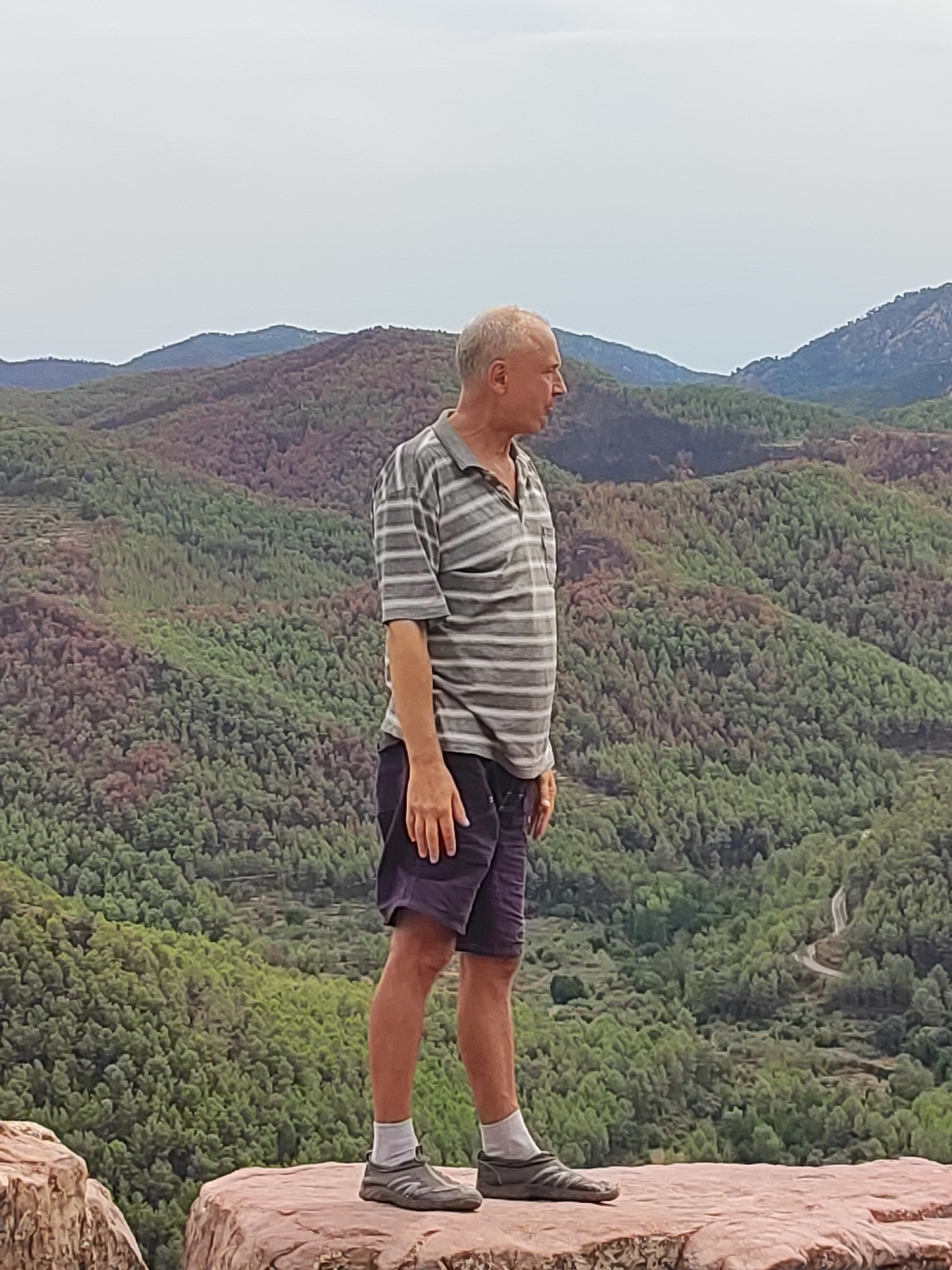 A middle-aged man with grey hair stands on a rocky outcrop, his body angled to the right, facing away from the camera and looking out at a verdant, mountainous landscape. He wears a striped polo shirt and dark shorts. The terrain behind him is densely forested with rolling hills and a winding road visible in the distance. The sky is overcast. The location is identified as Alcudia de Veo, Spain.