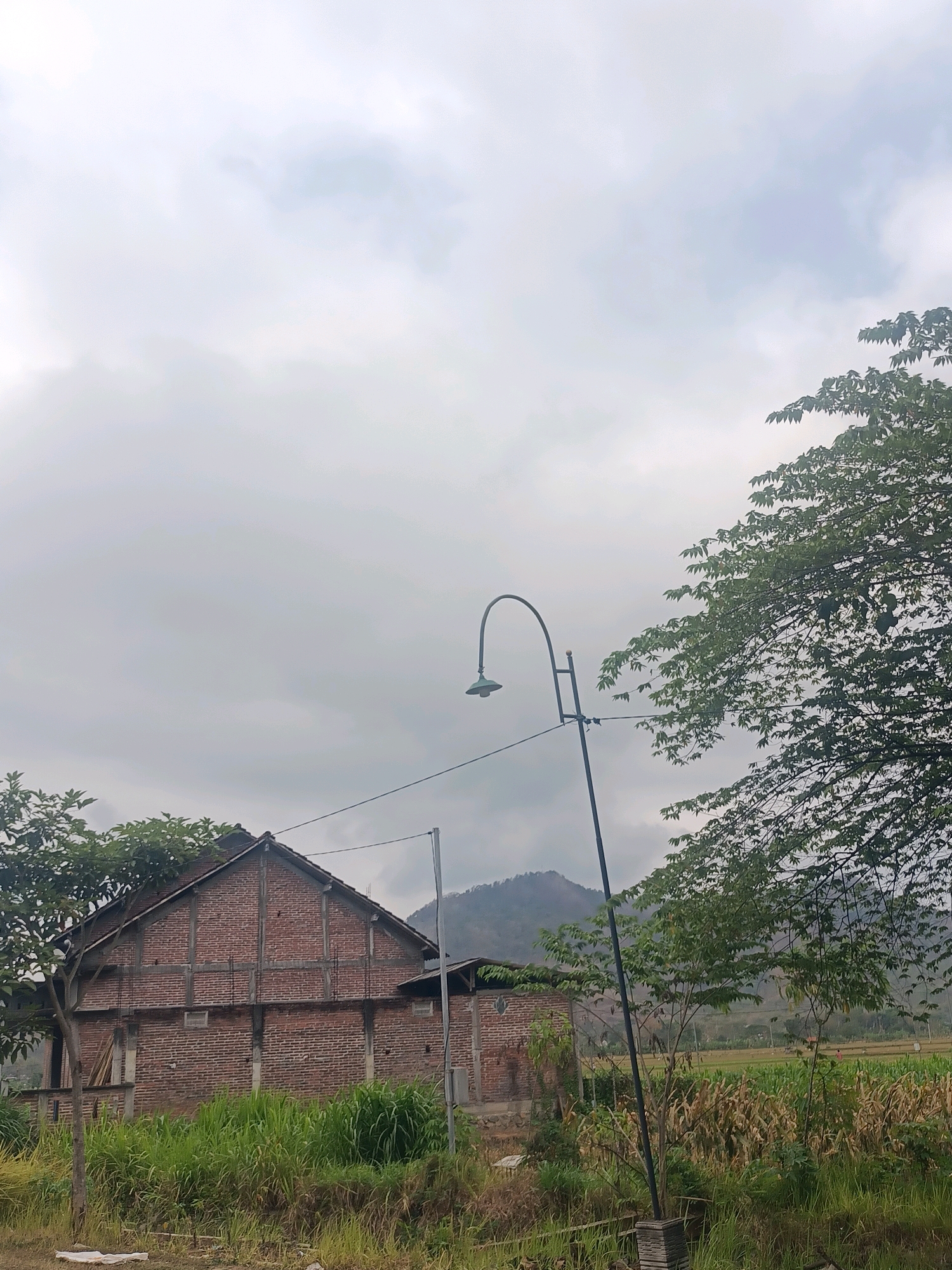 The image captures a rural landscape in Trenggalek, Indonesia, under an overcast sky. In the foreground, tall green grass and dry stalks of corn are visible. A brick building with exposed wooden beams stands to the left. A street lamp with a curved metal pole is positioned in the middle of the frame, with power lines extending from it. A lush green tree with many leaves is prominent on the right side, partially obscuring the view of distant hills and agricultural fields. The overall impression is one of a quiet, natural setting.
