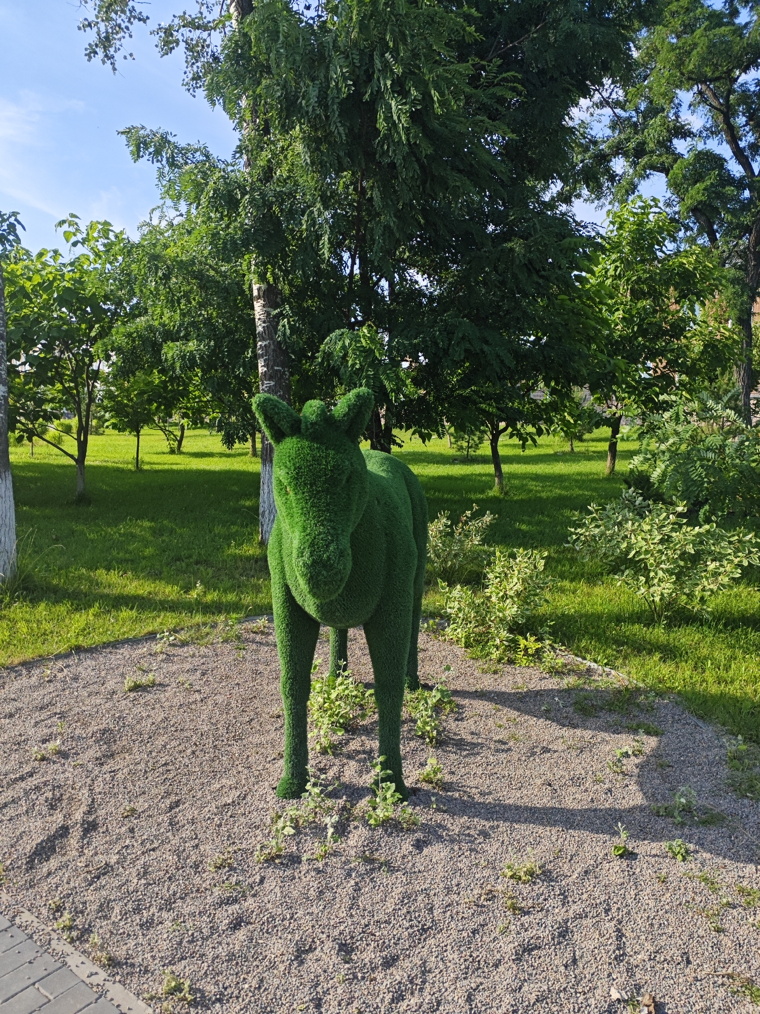 This is a medium-shot, eye-level, outdoor photograph of a green, artificial topiary donkey sculpture standing on a gravel path in a park. The sculpture is the central focus of the image. It is a full-body depiction of a donkey, made entirely of dense green material that resembles grass or moss. The sculpture has distinct ears, a muzzle, and four legs, and is positioned facing slightly to the left of the viewer.
The background consists of a well-maintained park with a bright green lawn. Several deciduous trees with lush green foliage are scattered throughout the park, with a clear blue sky overhead. The sun is shining, casting shadows from the trees and the sculpture onto the gravel path and the grass.
To the left of the sculpture, a paved walkway made of gray interlocking bricks is visible, bordering the gravel path. The environment suggests a public park or garden space, likely in a temperate climate during the daytime in the warmer seasons. The overall impression is one of a pleasant, sunny day in a public green space.