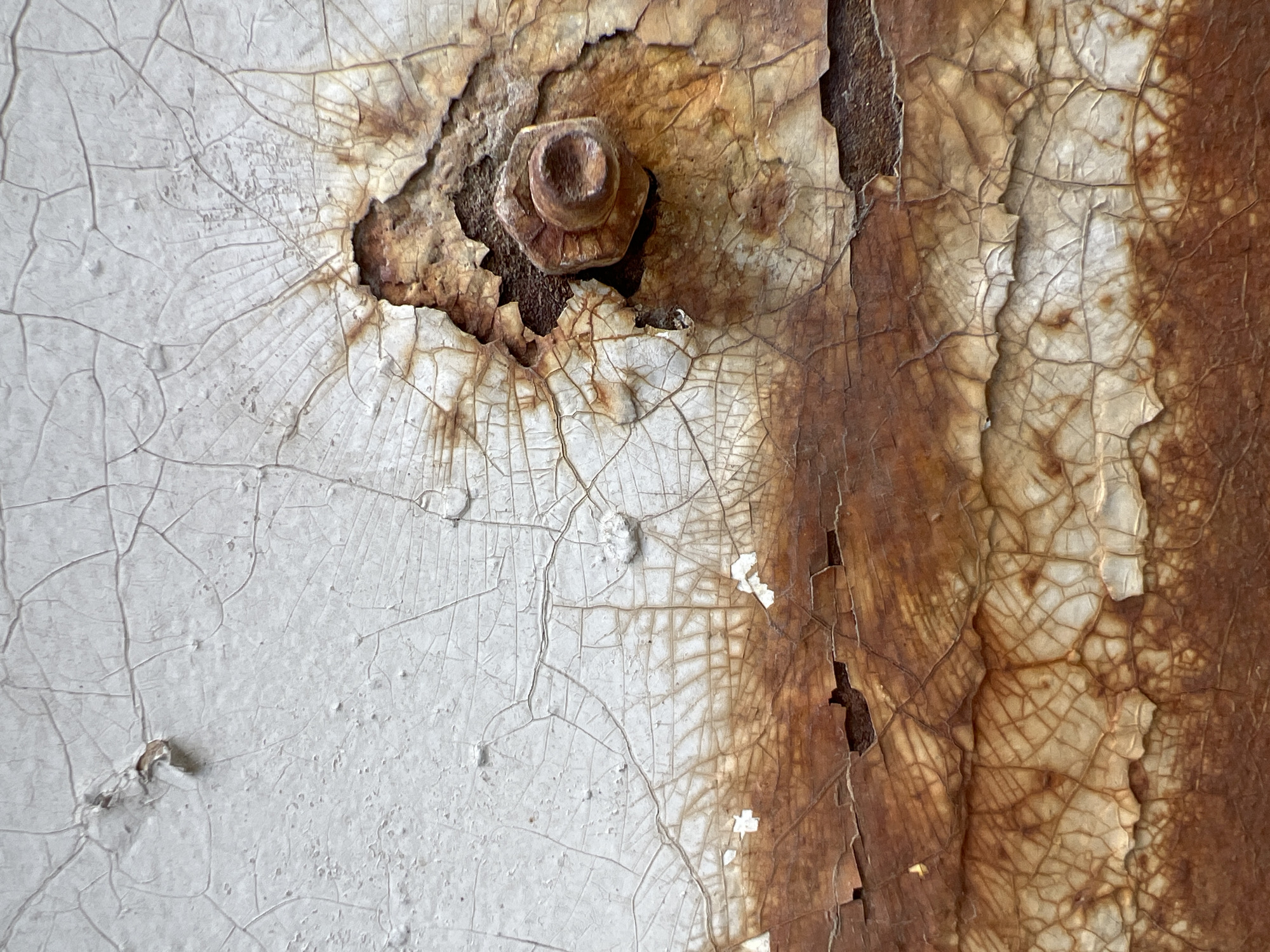 This is a close-up, eye-level, medium shot of a rusted metal surface with cracked white paint. The rust is concentrated around a bolt in the upper right quadrant of the image. The paint exhibits extensive crazing and peeling, revealing the underlying corroded metal. The texture is rough and uneven. There are no people or animals present in the image. The image does not provide any information about its location in Moscow, Russia.