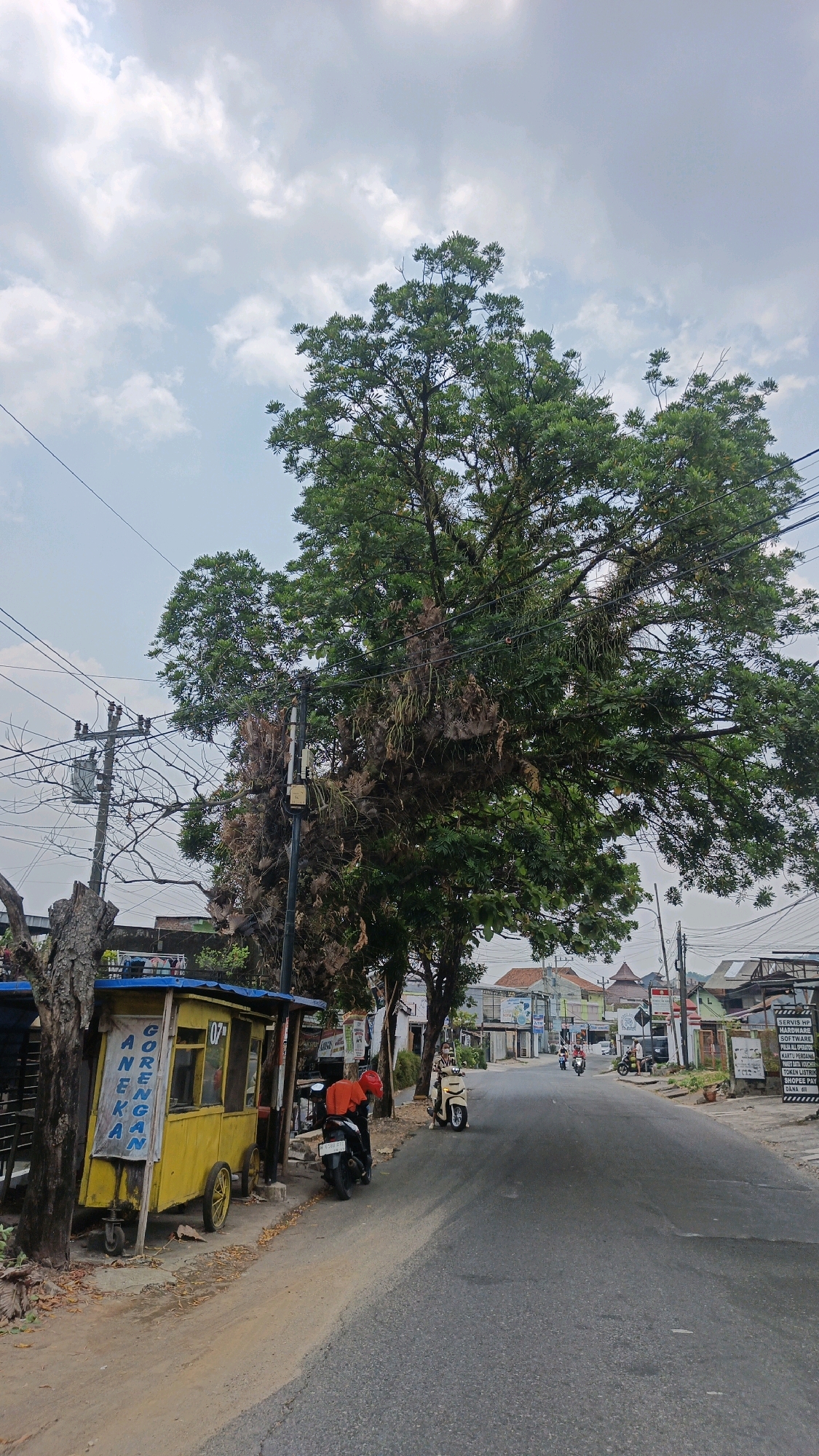 This is a medium shot, eye-level, outdoor, daytime photograph taken on a street in Genuk Barat, Indonesia. The image is dominated by a large tree with dense green foliage, its branches stretching across a significant portion of the frame. The tree's trunk appears weathered, and some dead, brown fronds hang from its branches. The tree is situated on the left side of a paved road that recedes into the distance.
In the foreground, to the left of the road, is a small, yellow food cart with a blue roof. The cart has wheels and an awning. Text on the side of the cart reads "GORENGAN ANEKA" and a number "07" is visible. A black motorcycle with an orange covering on the back is parked next to the food cart.
Further down the road, several motorcycles are visible, with riders on them, suggesting ongoing activity. Buildings line the right side of the road, appearing to be shops or businesses. Some of these buildings have signs. Overhead, power lines and a utility pole with electrical equipment are present, crossing the sky and branches of the tree. The sky is partly cloudy with a bright, overcast appearance. The ground beside the road is dirt and has some dry leaves scattered on it. The overall impression is a slice of daily life on a suburban or semi-urban street in Indonesia, with commercial activity and a prominent natural element.