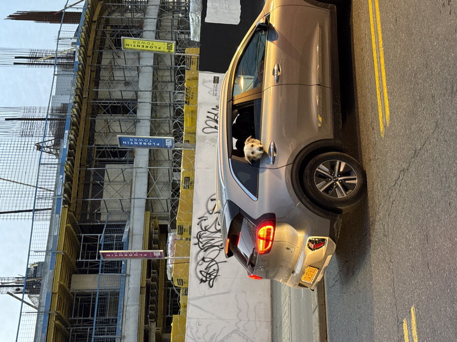 A silver Kia SUV is parked on a street with yellow lines. A small dog with light fur is looking out the car's open window. In the background, a construction site with a building in progress can be seen. Signs reading "Florentin Tower" are attached to the construction scaffolding. Graffiti is on a nearby wall. The license plate is visible and begins with "70-051".