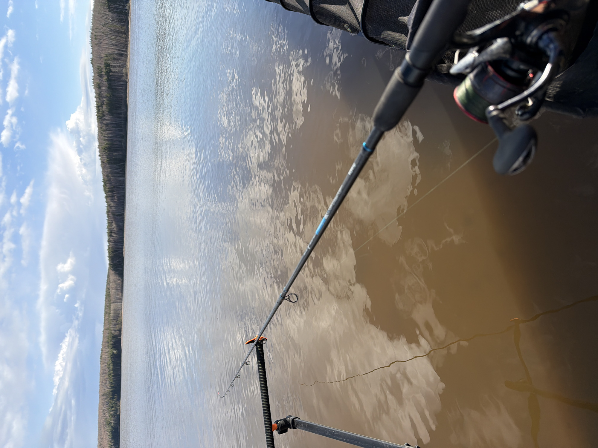 The image captures a serene fishing scene from a low vantage point, likely from a boat or kayak on a large body of water, identified as Chaikovsky, Russia. A fishing rod, equipped with a spinning reel spooled with green line, extends diagonally across the frame from the bottom right towards the middle. The rod's handle and the reel are clearly visible, with some faint, illegible text on a blue band near the rod's base. The water surface, a muted brownish color, reflects the bright blue sky and scattered white clouds, creating shimmering patterns. In the upper right, part of a dark mesh fabric, possibly a net or a storage bag, is visible.
Beyond the fishing setup, the scene reveals a broad expanse of calm water stretching towards the horizon. A dense treeline, consisting of both coniferous and possibly some bare deciduous trees, marks the distant bank of the lake or river. The sky above is a clear blue with several fluffy white clouds, indicating sunny and pleasant daytime weather. The overall atmosphere suggests a peaceful outdoor leisure activity. No individuals are visible in the image.