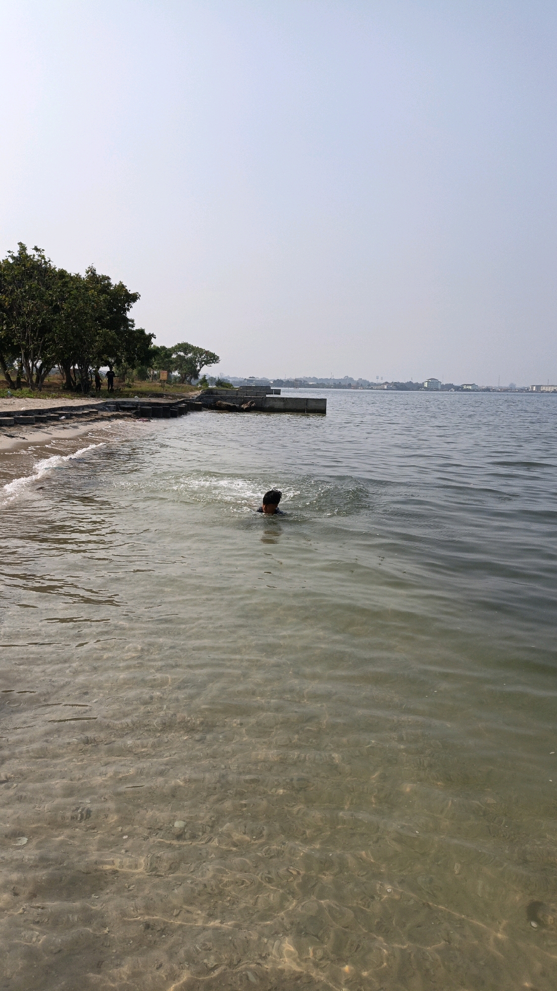 In Cikal, Indonesia, a person is swimming in the shallow, clear waters of a body of water. The person's head and shoulders are visible above the surface, with ripples of water around them. The sandy bottom is visible through the water. To the left, a sandy shore is lined with trees, and some concrete structures are present along the water's edge. In the distance, a cityscape with buildings is visible across the water under a hazy sky.