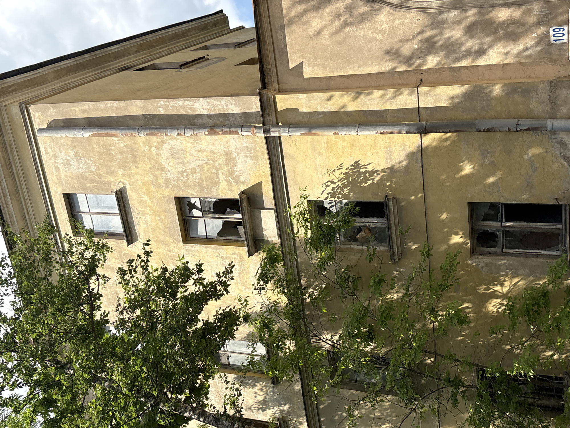 The image shows the exterior of a deteriorating yellow building, likely an apartment complex, in Saint Petersburg, Russia. The building has multiple stories with several windows, many of which are broken or boarded up. Lush green trees with dense foliage grow close to the building, partially obscuring the windows and casting dappled shadows on the textured, weathered facade. A vertical pipe runs down the side of the building. The sky is partially visible with some clouds. A house number "109" is visible on a sign near the bottom right corner. The scene suggests neglect and a state of disrepair.