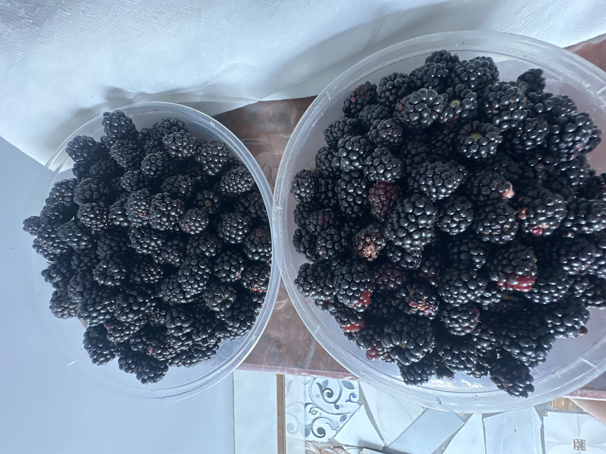 Two clear plastic bowls overflowing with blackberries are positioned on a wooden surface. The top bowl is slightly to the left and higher than the bottom bowl. The blackberries are dark purple to black and appear ripe. Some of the berries show hints of red, indicating they might not be fully ripe or are a slightly different variety. The background on the left shows a tiled surface with a decorative blue and white pattern. On the right side of the image, a white, textured fabric is visible, possibly a tablecloth or curtain. The lighting suggests an indoor environment. The image does not contain any people or specific Jaukashty, Uzbekistan, landmarks.