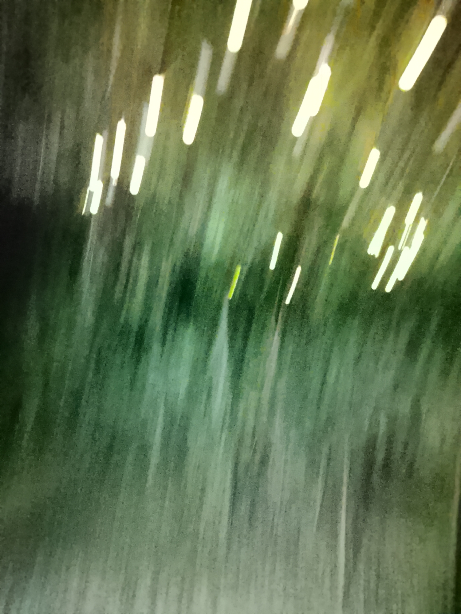 The image is an abstract, motion-blurred depiction of an outdoor environment, likely at night, with streaks of light against a dark, textured background. The dominant colors are shades of green, ranging from deep forest green to lighter, almost yellow-green hues, interspersed with bright white and yellow vertical or diagonally oriented streaks. These streaks suggest artificial light sources, possibly from vehicles, streetlights, or buildings, viewed during a period of movement. The overall impression is one of dynamic motion and blurred visual information. Given the provided location of Жалпақсай, Kazakhstan, this scene could represent a street or roadside view in that area, capturing the visual effect of passing lights at speed or a low-light condition with moving light sources. There are no discernible people, specific objects, or clear actions visible due to the extreme blur. The environment appears to be natural or man-made with a focus on light patterns.