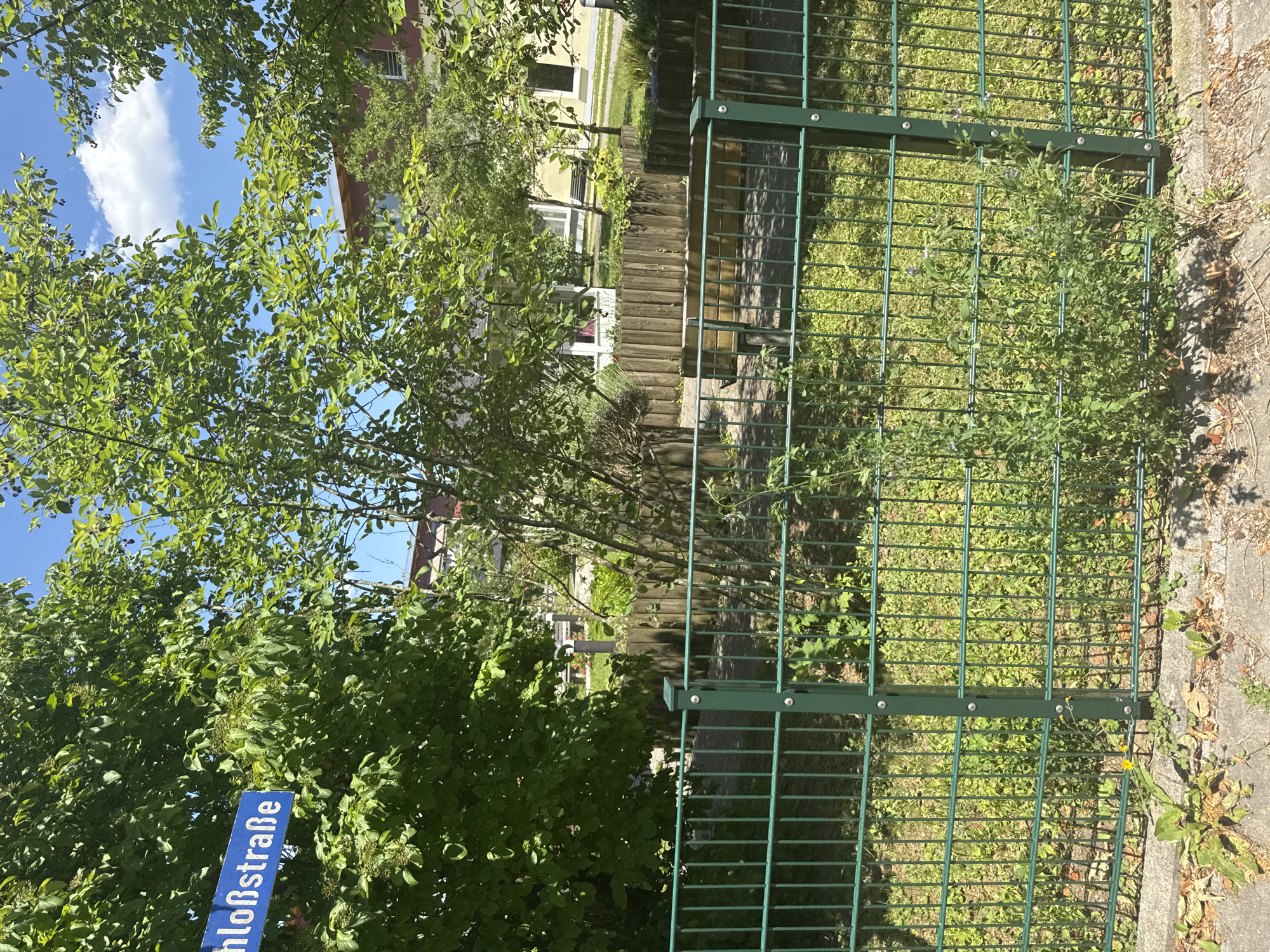 The image shows a bright, sunny day in a residential area, likely in Höhenkirchen-Siegertsbrunn, Germany. The scene is dominated by lush green trees, a metal fence, and buildings in the background. Sunlight streams through the leaves of a large tree in the foreground, creating dappled shadows on the ground. A blue street sign with white lettering is visible on the left, indicating "hloßtraße".
The green metal fence runs along the right side of the image, separating a grassy area from a concrete path. Beyond the fence, a wooden retaining wall forms a terraced garden or walkway. Several buildings, appearing to be houses or apartment blocks with light-colored facades, are visible behind the trees and fence, suggesting a suburban or urban setting. The sky is blue with a few fluffy white clouds.
The overall impression is one of a peaceful, everyday scene on a clear day. There are no people visible in the image, and the focus is on the natural elements and the built environment. The time of day appears to be late morning or early afternoon, judging by the angle of the sunlight and the brightness of the scene. The location cues of the street sign and the architecture of the buildings point to Germany.