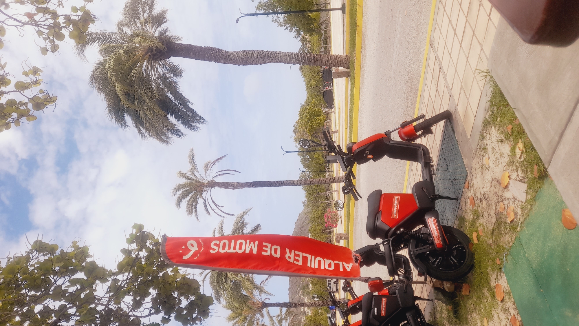This is a photograph of a red scooter rental stand in a tropical location. The scene features multiple red scooters parked on a paved area next to a sidewalk. A large red banner with white text is prominently displayed, reading "ALQUILER DE MOTOS" (Motorcycle Rental) in Spanish. The banner is partially obscured by foliage from palm trees. In the background, tall palm trees and lush greenery are visible under a bright, cloudy sky. The ground is a mix of pavement, grass, and fallen leaves, suggesting a pleasant outdoor environment. The image appears to be taken during the daytime, with natural lighting. The overall impression is one of a recreational area, likely a tourist destination given the presence of scooter rentals and tropical vegetation. There are no people visible in the frame, and the focus is on the scooters and the rental banner. The location context provided indicates this is in Pedro González, Venezuela.