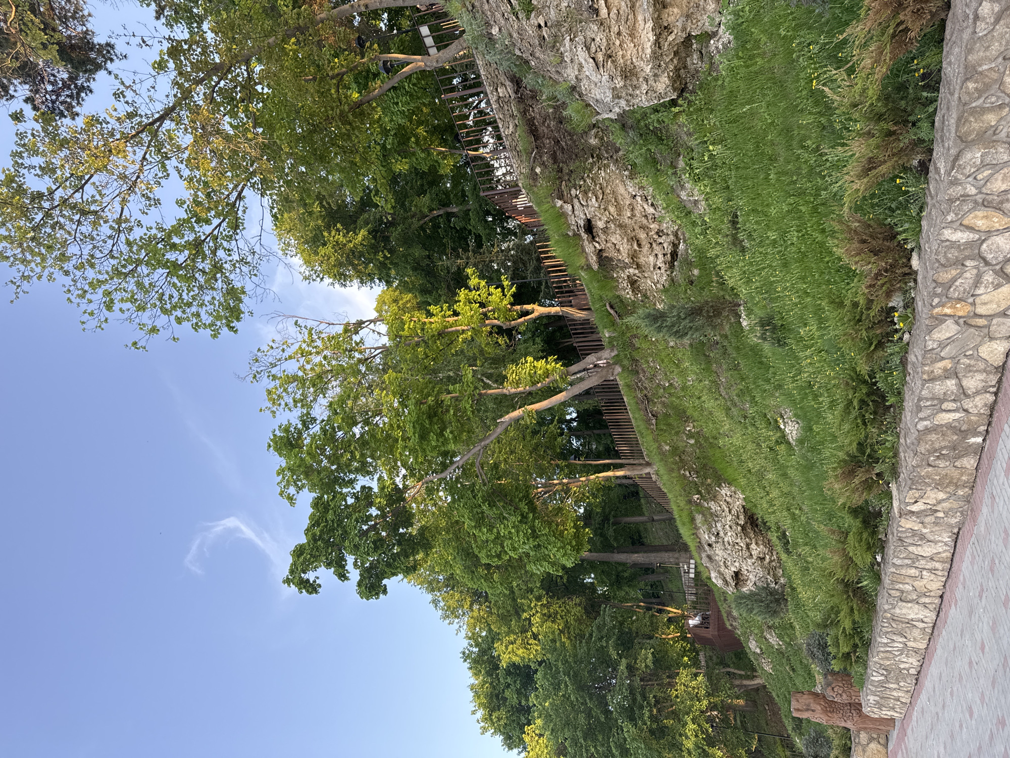 The image shows a tree-lined park area in Krasny Klyuch, Russia. On the right side of the image is a stone wall with grassy vegetation growing along it. To the left of the wall, there is a dense group of trees with green foliage, reaching towards the sky. A faint wisp of clouds can be seen in the blue sky. A wooden structure resembling a walkway is nestled among the trees. The scene appears to be outdoors during daylight. The image appears to be rotated.