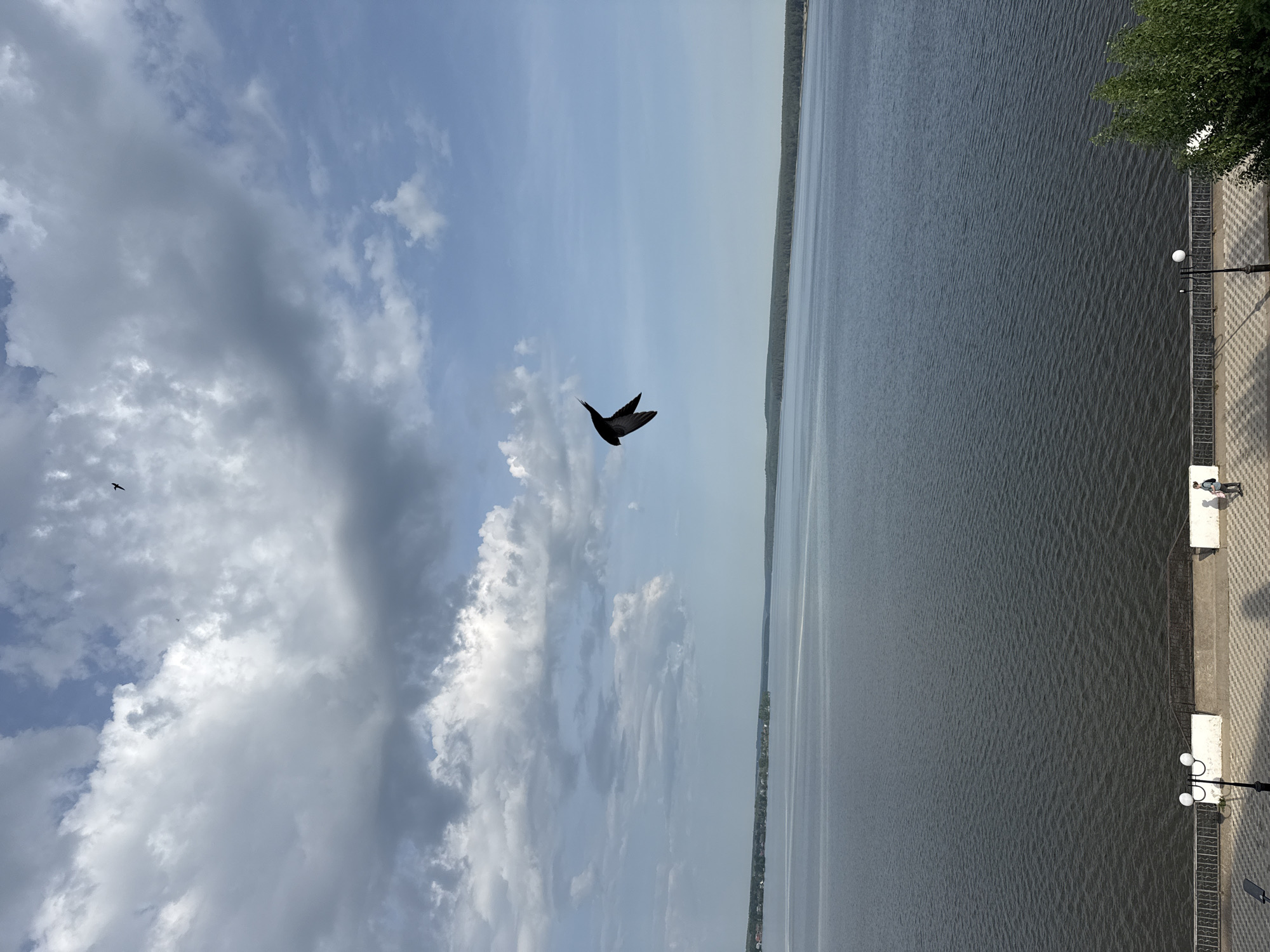 The image shows a view in Votkinsk, Russia, featuring a body of water with a developed embankment along its edge. A person is visible on the embankment. In the sky, there are clouds, both dark and light, and two birds are flying. The photograph appears to be taken from an elevated position.