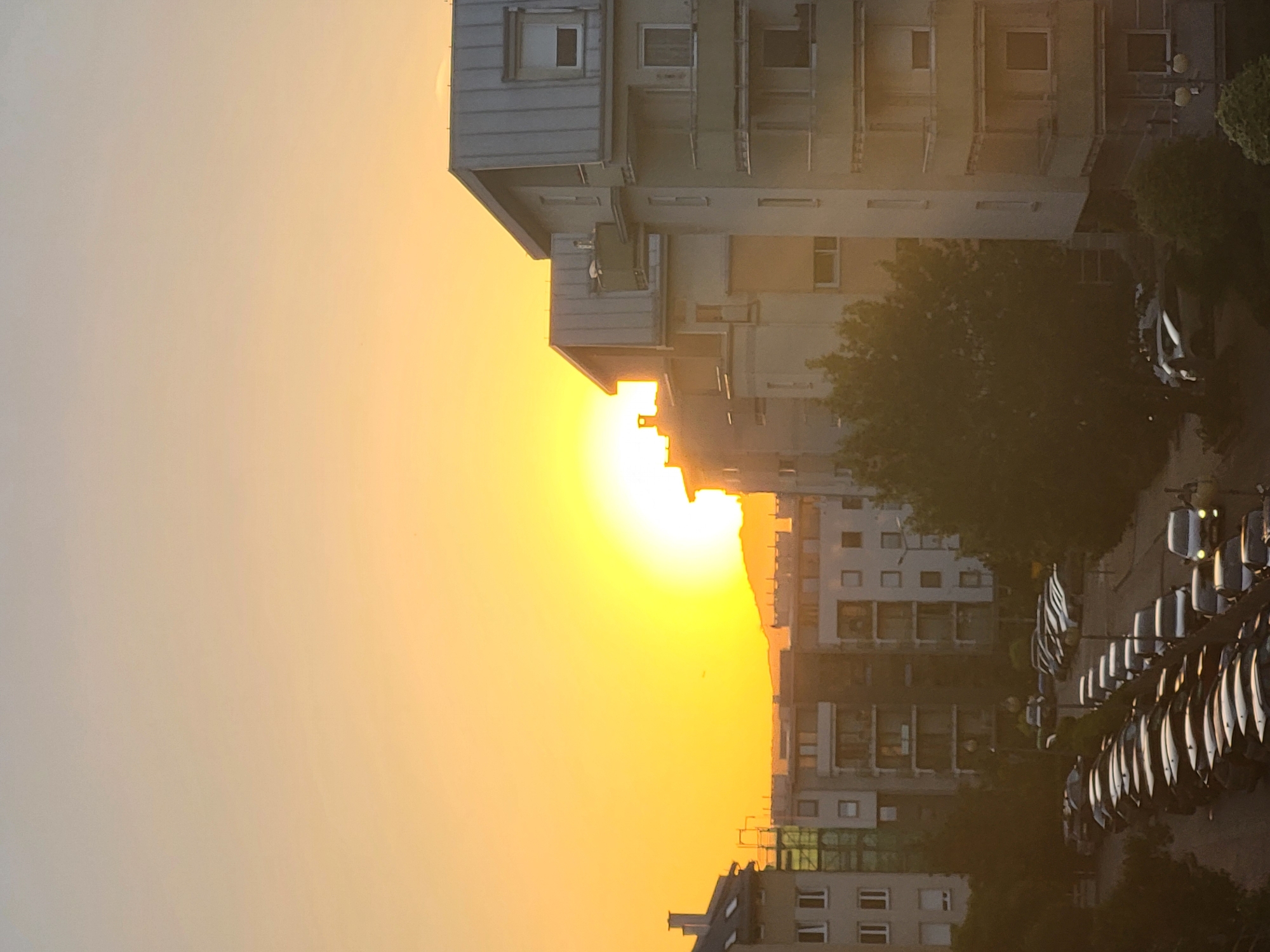 The image shows a city street at sunset. A multi-story building is positioned to the right side of the frame, partially obscuring the setting sun. Trees are interspersed between the buildings, and a row of parked cars lines the street. The overall color palette is dominated by yellows and oranges due to the sunset.