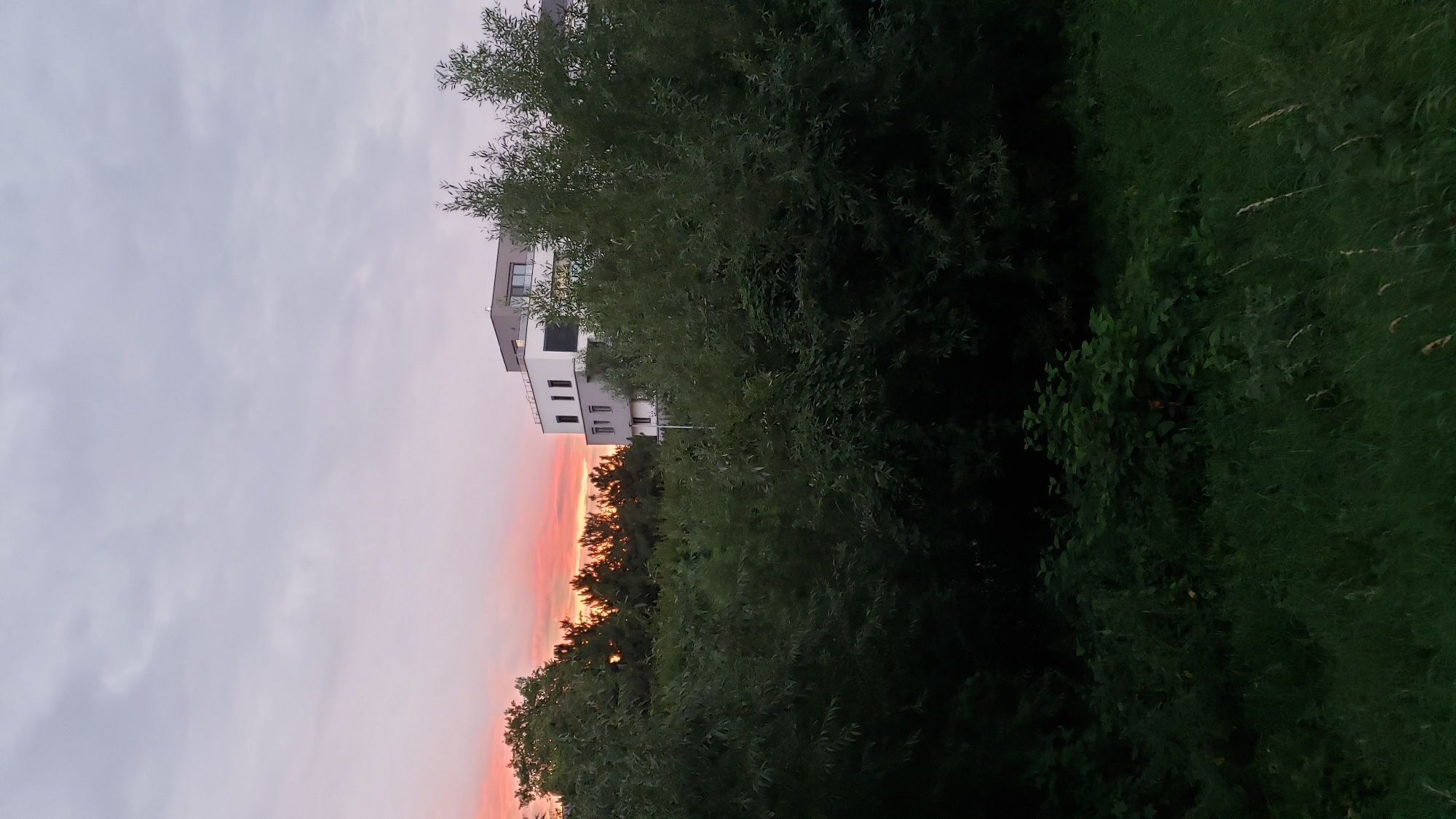 The image shows a modern apartment building with a white and gray facade, featuring several windows, against a twilight sky with hues of pink and orange from the setting sun. The building is partially obscured by lush, dark green foliage of trees and bushes in the foreground. The lower part of the image is dominated by a dense growth of grass and shrubs. This scene is characteristic of the outskirts of the city of Prešov, Slovakia, where residential areas often transition into natural or semi-natural landscapes. No people or vehicles are visible.
