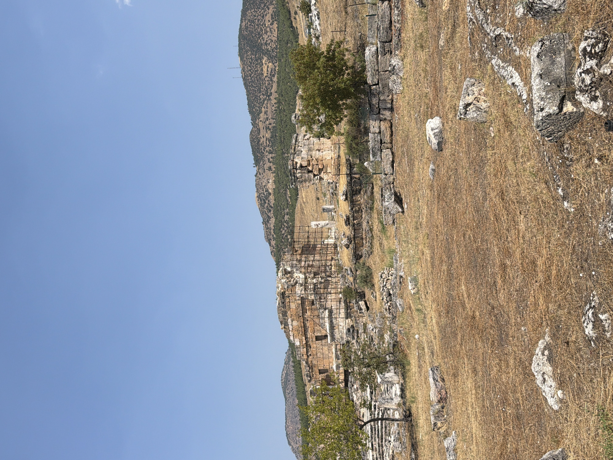 This is a landscape photograph taken in Pamukkale, Turkey, on a clear day under a bright blue sky. The foreground is covered in dry, golden grass and scattered rocks. In the midground, ruins of ancient stone structures are visible, some of which are undergoing restoration with scaffolding. A single, leafy green tree stands to the left of the central ruins, and another tree is located to the right. Beyond the ruins, the landscape transitions to rolling hills covered in vegetation, with some scattered structures and what appear to be communication towers on the highest peak in the background. The overall scene depicts an archeological site in a natural, arid environment.