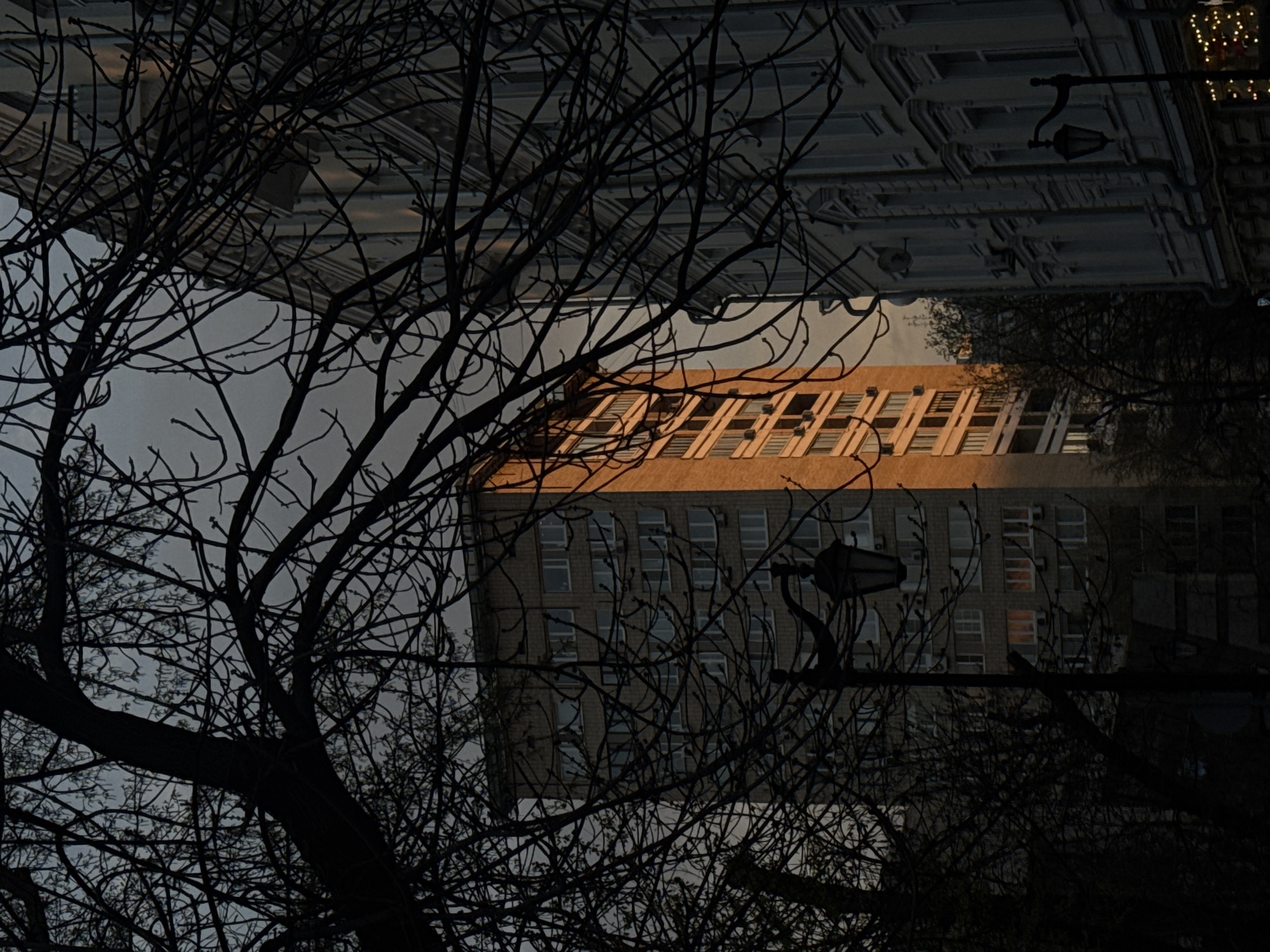 The image shows a view of Moscow, Russia, with a focus on a building framed by bare tree branches. The building is constructed of brick, and another building is seen upside down in the upper part of the image. A street lamp is also visible in the frame. The sky is overcast, and the overall lighting suggests either early morning or late evening. The bare tree branches are silhouetted against the buildings and sky, adding a layer of complexity to the composition.