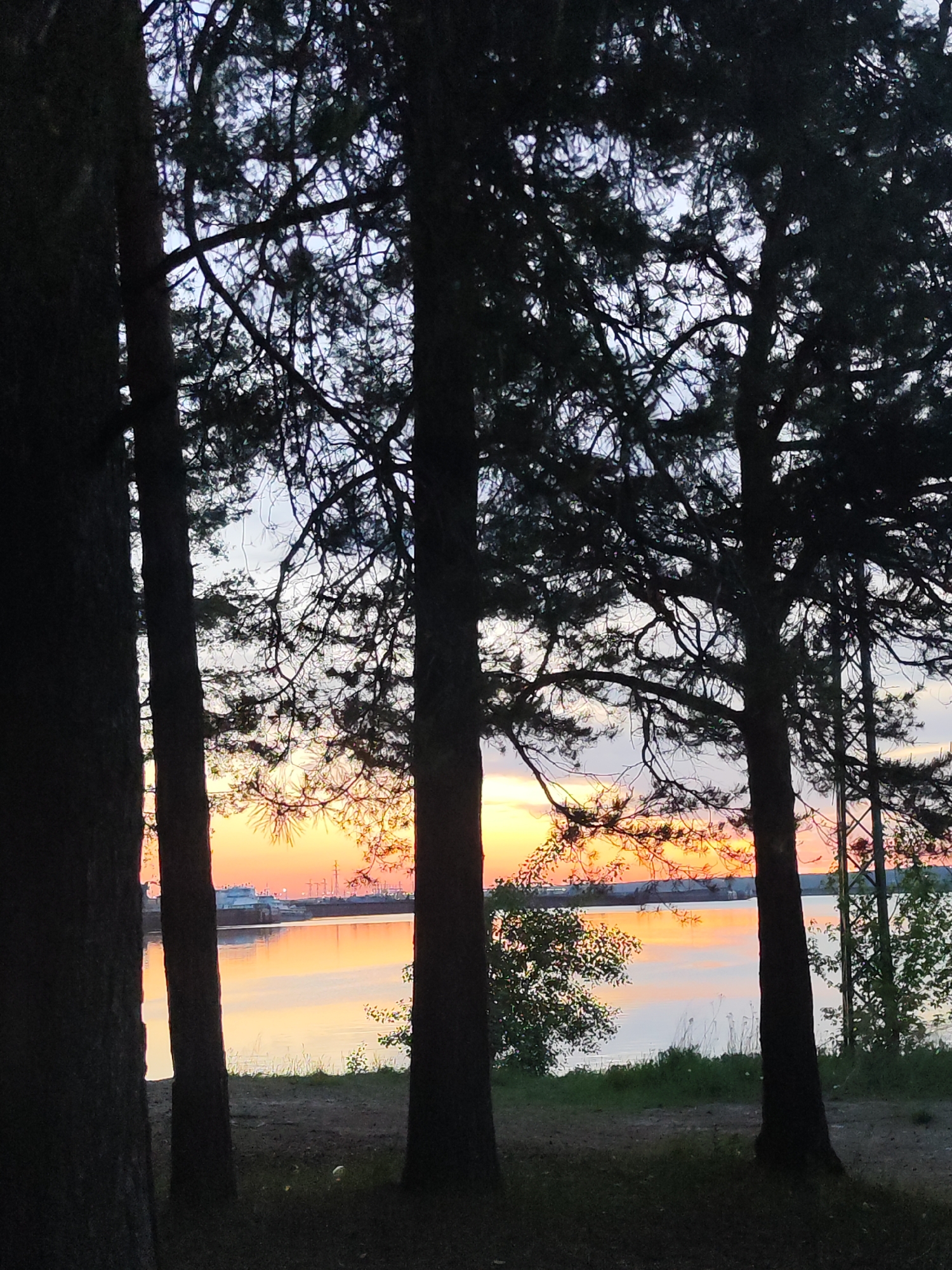 The photograph depicts a view through a grove of trees towards a body of water at sunset. The tree trunks are dark silhouettes in the foreground, obscuring much of the scene. Between the trees, the water reflects the orange and yellow colors of the setting sun. A long building or structure with multiple sections is visible on the far bank of the water, possibly a warehouse or industrial facility. The sky above exhibits a transition from light blues to orange near the horizon. The immediate foreground features grassy ground with foliage. The scene is located near the city of Chaikovsky, Russia, on a shore.