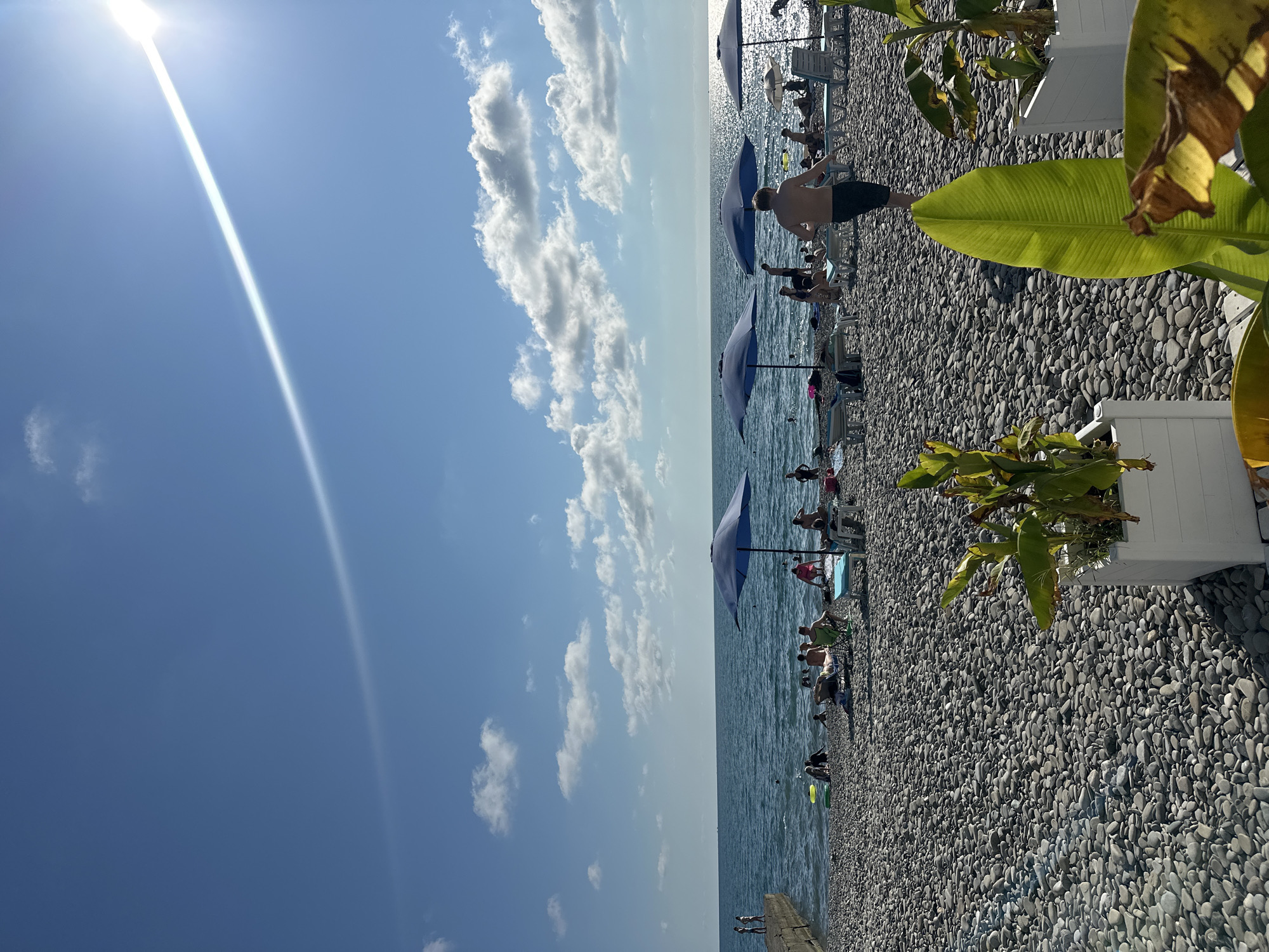 A sun-drenched pebble beach in Sochi, Russia, is teeming with beachgoers. The vast, azure sea stretches to the horizon under a bright blue sky dotted with fluffy white clouds. Several large, dark blue umbrellas provide shade for sunbathers lounging on chairs and towels. People are scattered across the beach, some wading in the water, others relaxing under the umbrellas, and a few walking along the shoreline. In the foreground, lush green plants in white planters add a touch of tropical flair to the scene. A man in dark shorts walks away from the camera towards the sea, his back to the viewer, adding a sense of depth to the image. The sun's rays glint off the water, creating a dazzling spectacle.