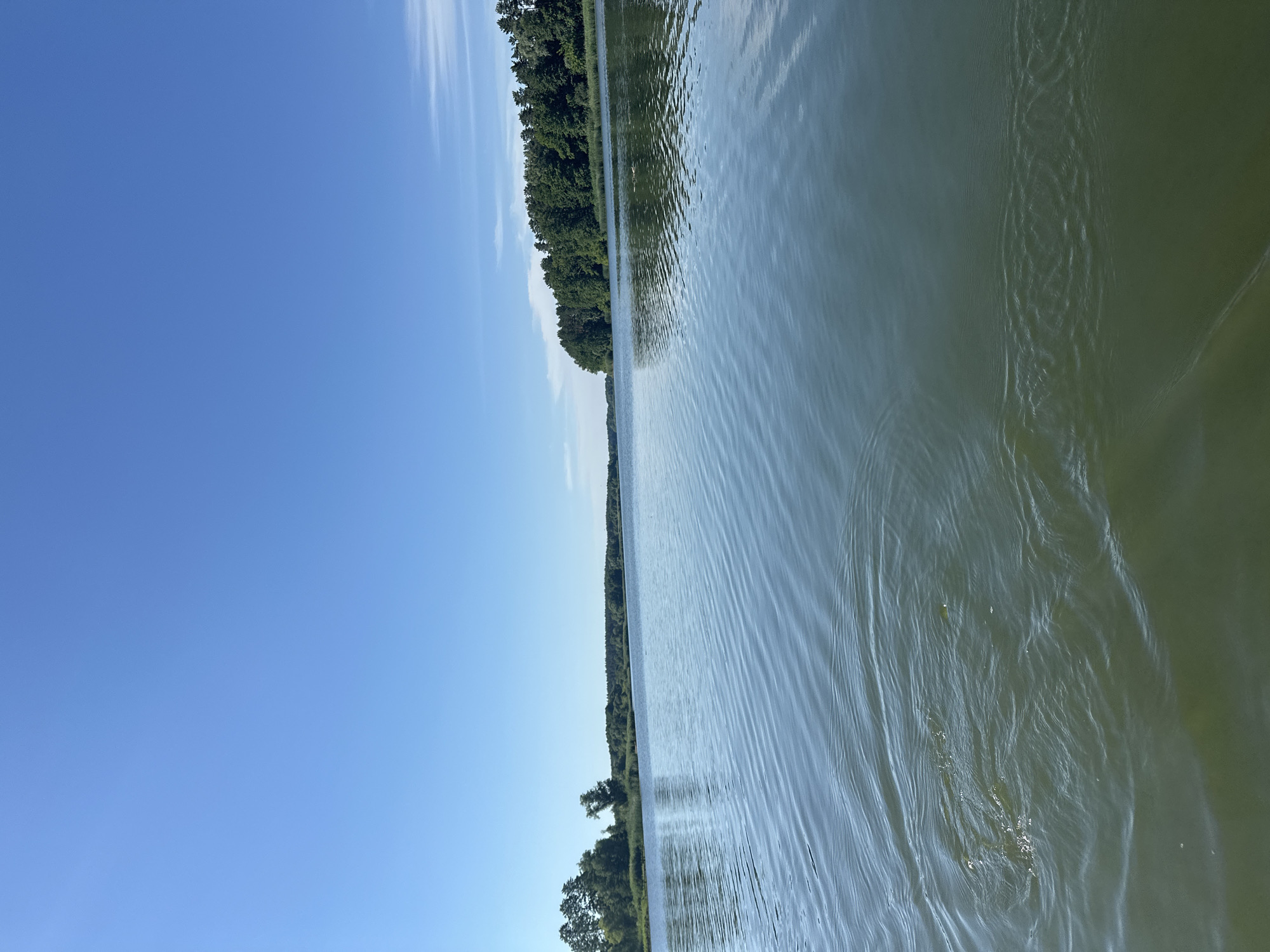The image depicts a wide, calm body of water with a clear blue sky above. The water exhibits gentle ripples and reflects the sky and the surrounding greenery. On the left side of the frame, a line of trees and vegetation forms the shoreline, with some taller trees on the far left. The right side of the frame also shows a densely forested shoreline stretching into the distance. The water appears to be a lake or a wide river. No people or man-made structures are visible in the image. This scene is consistent with the natural landscape found in and around Khlypnivka, Ukraine, a village known for its picturesque natural surroundings, including water bodies and forests.