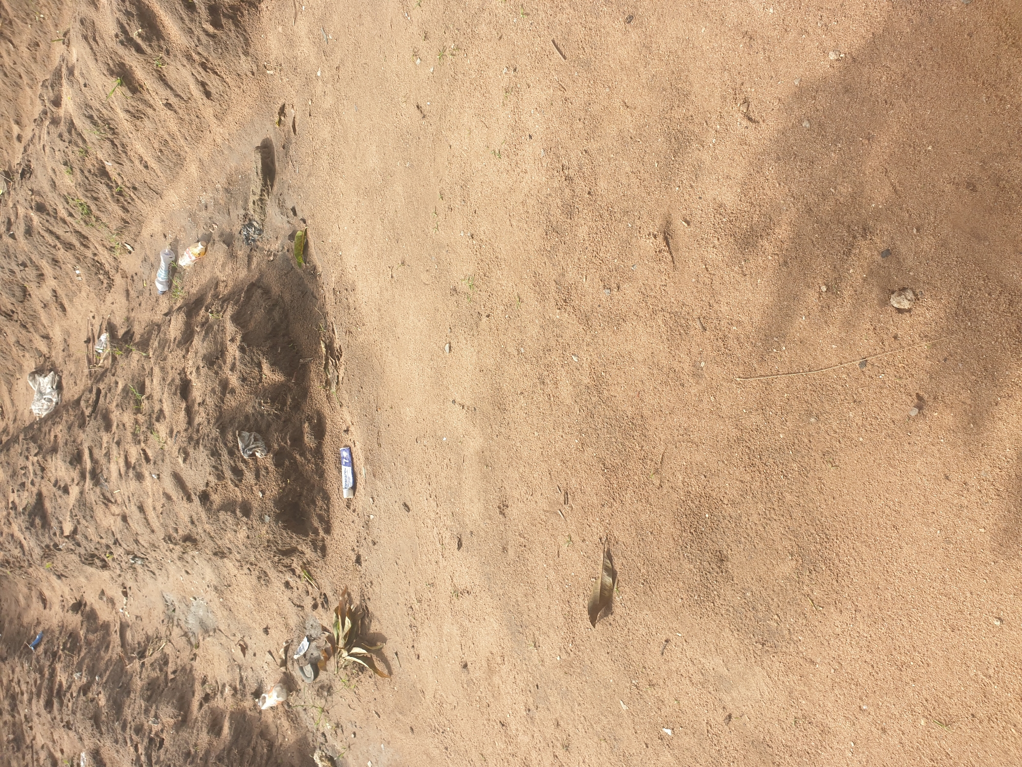 The image depicts a barren, sandy area with scattered debris, possibly on the outskirts of Jalingo, Nigeria. The ground is uneven, with furrows suggesting it may be a neglected agricultural plot or a construction site. Litter, including plastic bottles, wrappers, and torn bags, is visible across the scene. A few dry leaves and sparse green sprigs of grass are also present. The overall impression is one of neglect and environmental pollution. There are no people or discernible animals in the frame. The lighting suggests it is daytime, with shadows cast across the sand.