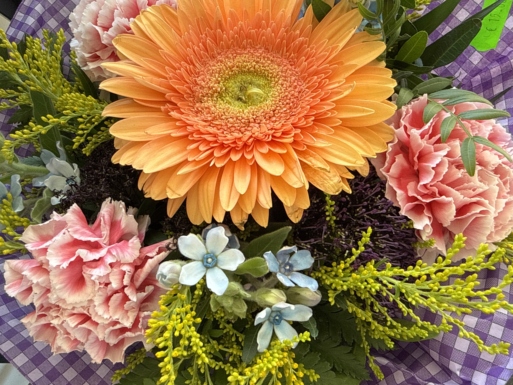 This is a close-up, overhead shot of a colorful bouquet of flowers. The bouquet is arranged in a way that emphasizes the texture and vibrancy of each bloom. Dominating the frame is a large, orange gerbera daisy with delicate, layered petals and a green and yellow center. To the left of the gerbera are two pink carnations with ruffled edges and lighter pink tips. Interspersed throughout the bouquet are small, delicate blue flowers with five petals and a blue center, along with clusters of tiny, yellow-green buds on thin stems. Dark purple filler flowers add depth and contrast. The bouquet is resting on a surface covered with purple and white gingham patterned paper. A green price tag is partially visible at the bottom right corner, reading "€ 15,-". The image appears to have been taken indoors, possibly in a flower shop or market, but no specific location in Görlitz, Germany, can be identified from the visual information alone. There are no people or animals present in the image.