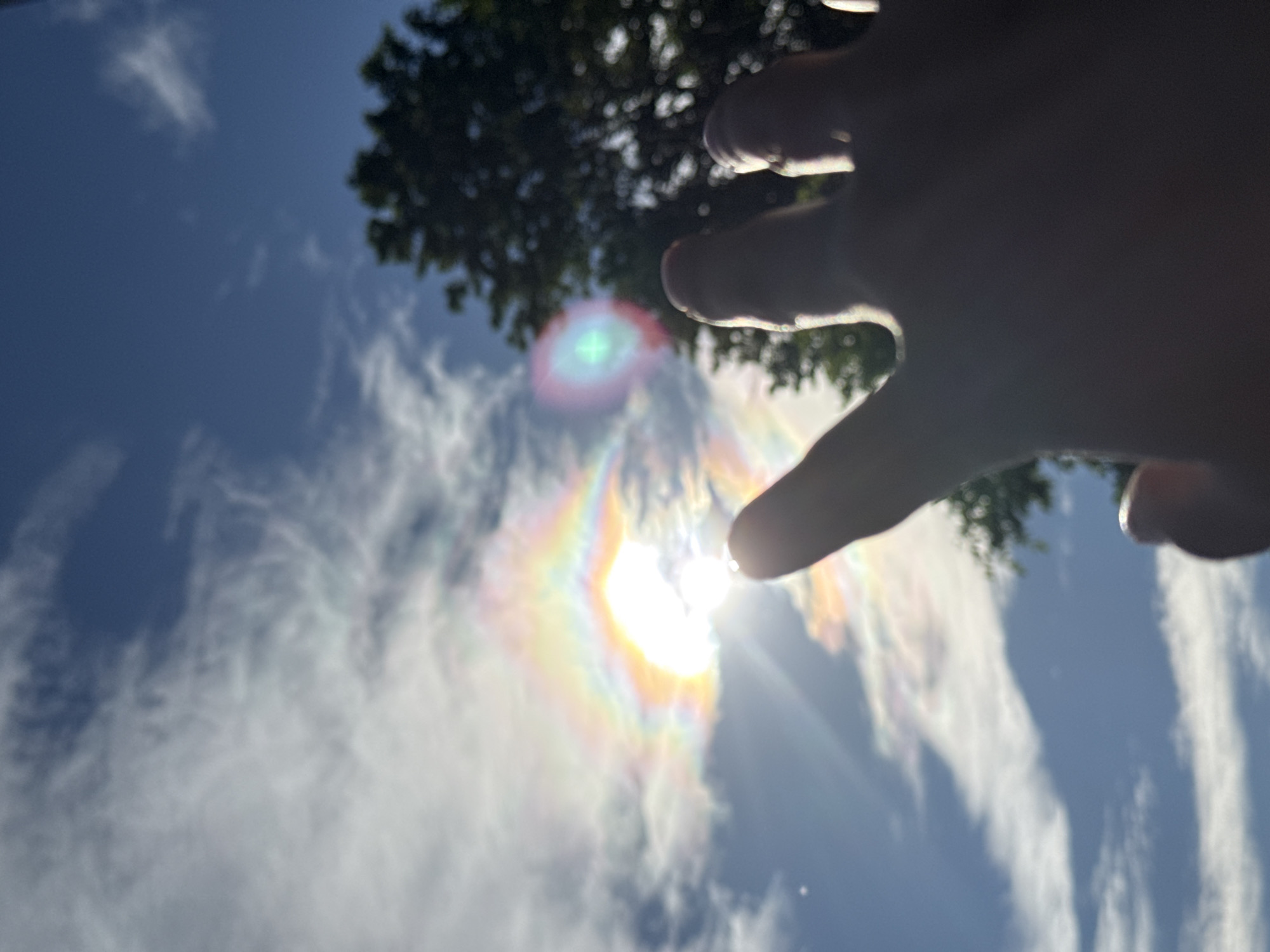 A hand is reaching out towards a sun dog, an atmospheric optical phenomenon that appears as a bright spot of light or halo to one side of the sun, often accompanied by a colorful halo. The sun dog is visible in a bright blue sky with scattered white clouds. The hand is silhouetted against the bright sky, with the fingers extended. In the background, the dark green foliage of a tree is visible. The image is taken from a low angle, looking up at the sky. The location is not specified in the image.