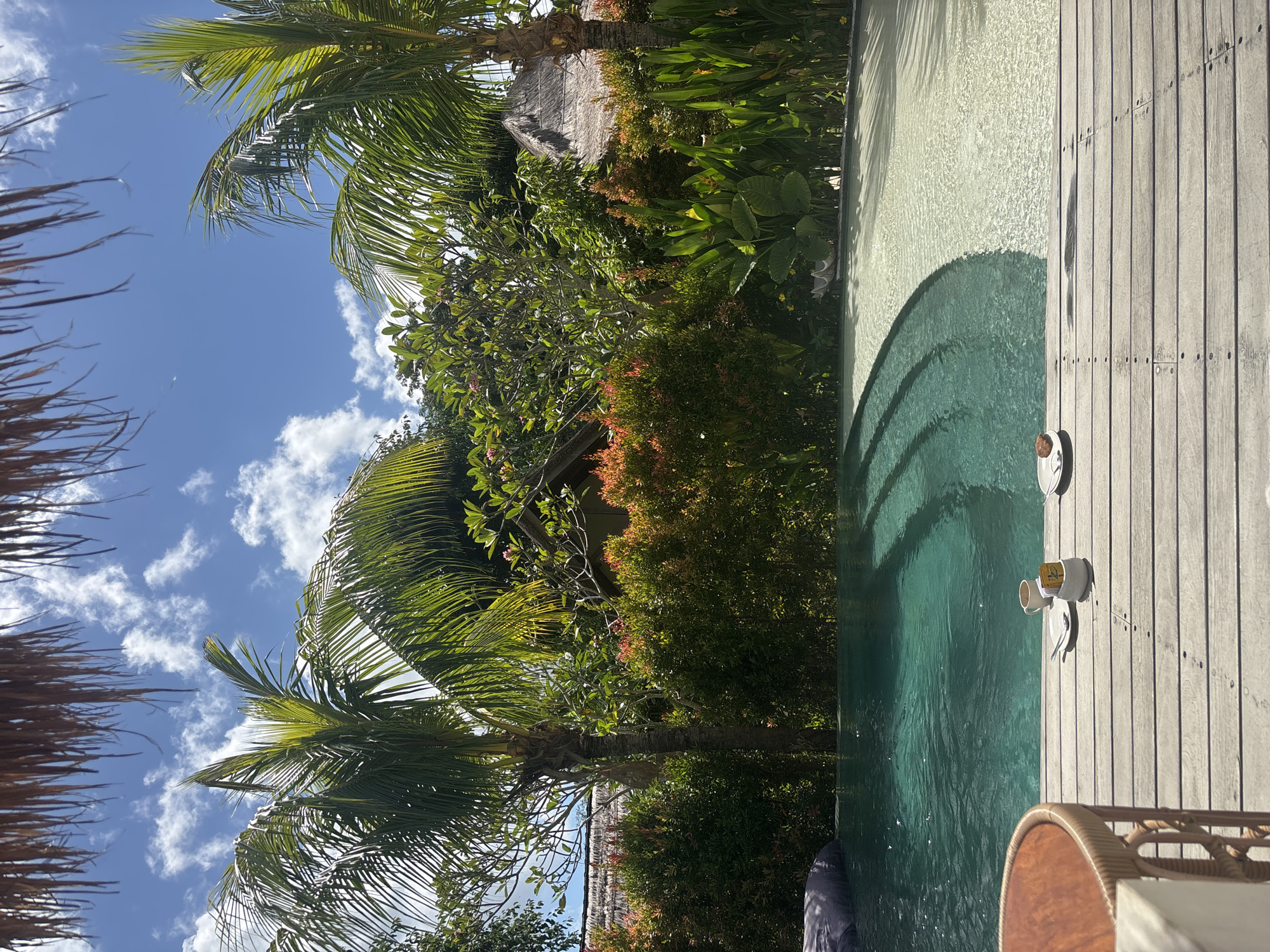 The image shows a poolside scene in Kuta Selatan, Indonesia. Two palm trees are visible against a backdrop of a partly cloudy sky. Lush tropical foliage surrounds the pool area, including various shrubs and possible glimpses of thatched roofs.
The pool's edge is lined with wooden decking. Two sets of cups and saucers are set out on the decking. A wicker chair is also partially visible near the edge of the pool.