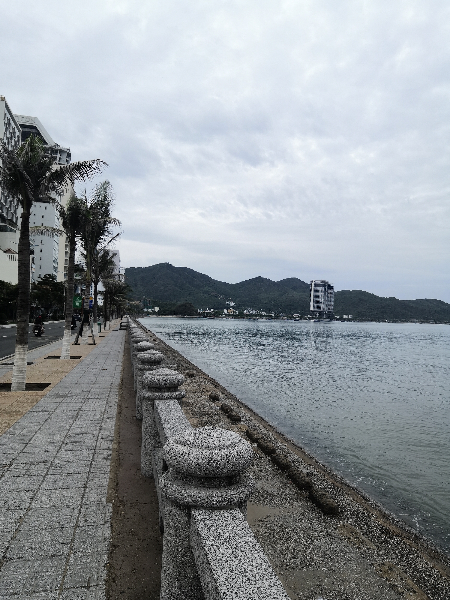 The image depicts a coastal scene in Bac Nha Trang Ward, Vietnam. A paved walkway runs parallel to the ocean, separated by a granite railing. Palm trees line the walkway, and a road with light vehicular traffic is visible to the left. The ocean stretches out towards distant mountains and a modern high-rise building. The sky is overcast with a gray cloud cover.