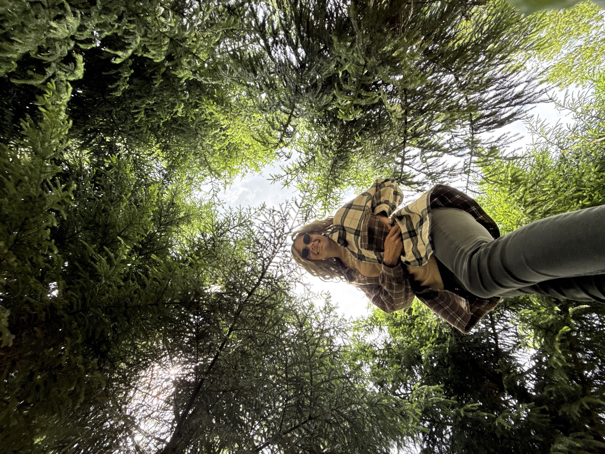 A low-angle shot looking up at a woman in a plaid shirt and grey jeans, surrounded by green trees, possibly spruce or fir, against a bright sky. The trees' dense foliage obscures most of the sky. The woman is wearing sunglasses and smiling. The location is likely a wooded area, but there is no data given on Rusanovo, Russia.