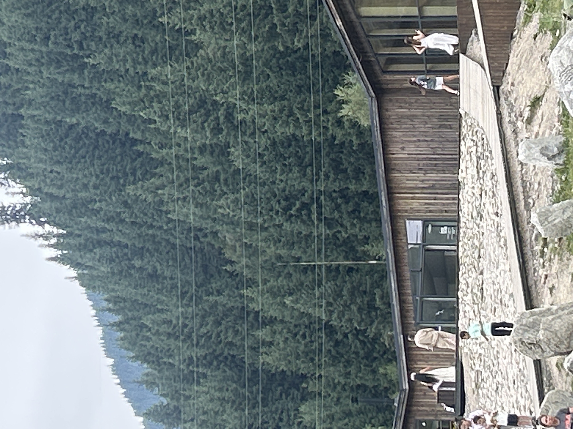The image captures an outdoor scene with a modern wooden building in the foreground, set against a backdrop of a dense, coniferous forest covering a mountainside. The building has a sloped roof and large windows, suggesting it is a contemporary structure. Several people are visible on and around the building. On a balcony or upper level of the building, two women in white dresses stand near a large window, and a man in a light-colored suit stands on a lower level. On a stone pathway in front of the building, a young boy in a light blue shirt and dark pants is running. Further in the foreground, a group of people, including children, are gathered on a rocky, uneven surface, with large rocks scattered throughout the area. The overall impression is a gathering or event taking place in a scenic, natural environment, possibly a resort or event venue. The location is not specified, but the forest and mountain scenery are characteristic of mountainous regions.
