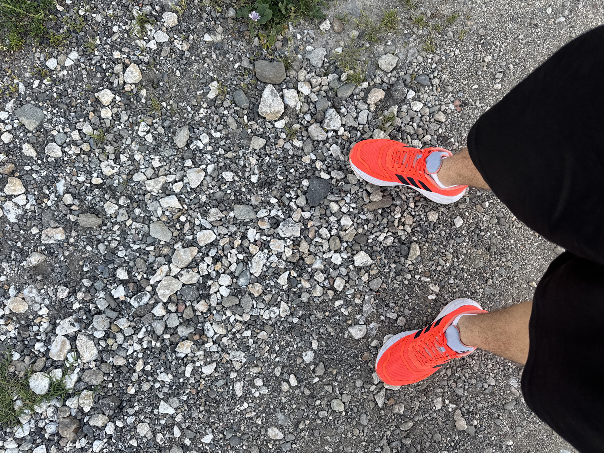 The image presents a top-down view of a person standing on a gravel path or road. The individual is wearing black shorts and bright orange running shoes with white and black accents. The ground consists of a mix of small to medium-sized gray and white rocks. There is a small patch of green vegetation with a single purple flower visible in the upper left quadrant. No specific details are discernable regarding the location in the city of Unknown, Unknown. The scene is generally static, showing the individual standing in place.