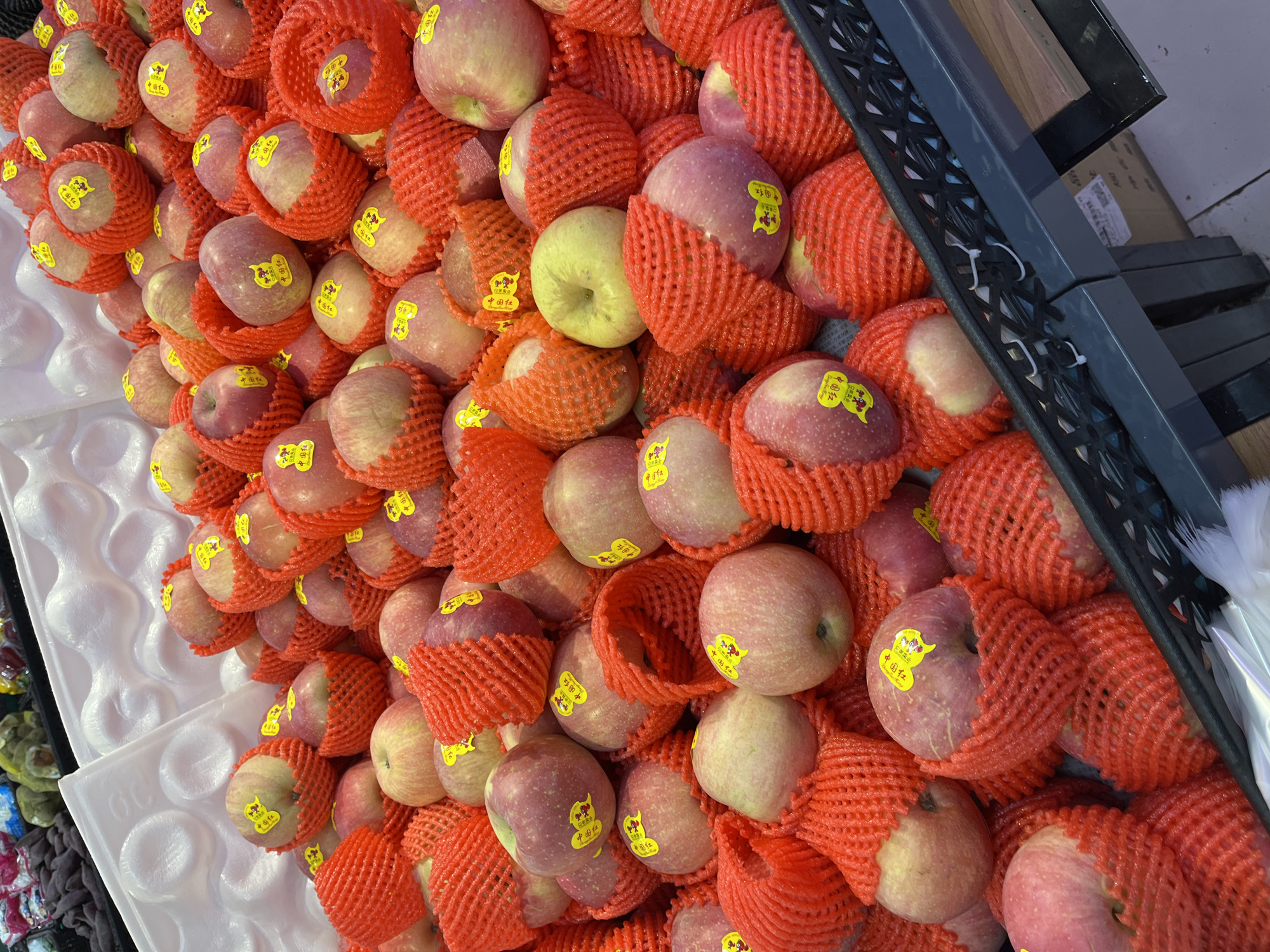 Here's a description of the image:
The image shows a large pile of apples, each individually wrapped in a red protective mesh. All of the apples are similar in size and color, a mix of red and white. Most of the apples have a yellow sticker, presumably a brand or label in Chinese, adhered to them. The apples are piled together in what appears to be a display case, likely in a store or market. There is a plastic separator on the side.
Based on the stickers that include the characters "中国红 (Zhōngguó Hóng)", the apples are in Changchun City, China.