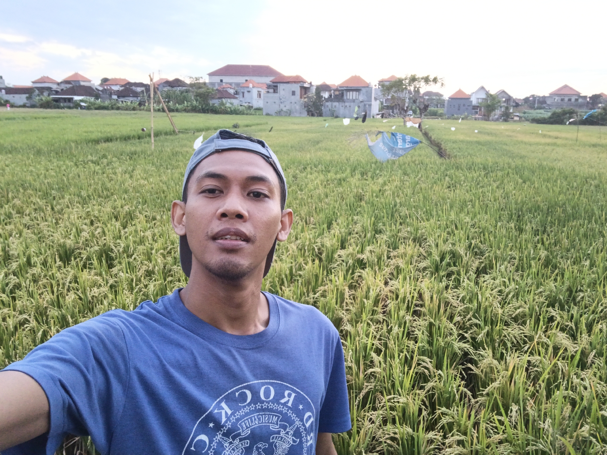 In a rice paddy field in Sukawati, Indonesia, a young man wearing a blue t-shirt and a grey baseball cap poses for a selfie. The field is lush and green, with the rice stalks nearing harvest. In the background, traditional Balinese houses with red-tiled roofs dot the landscape. A few white flags or scarecrows are scattered throughout the field, likely to deter birds. The sky is overcast, suggesting it might be late afternoon or early morning. The man's expression is neutral as he looks directly into the camera.