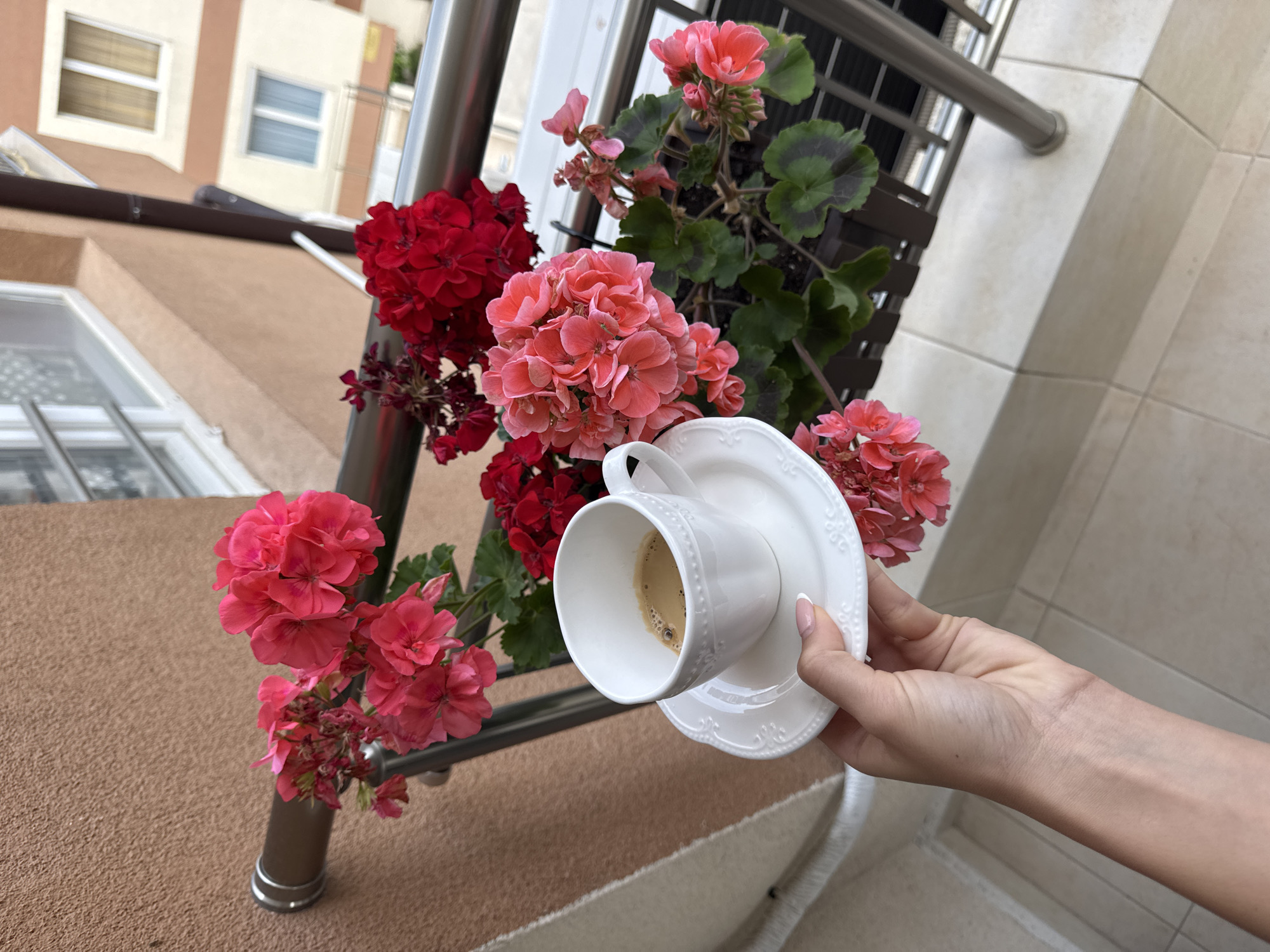 The image depicts a hand holding a white cup and saucer, with a small amount of liquid, likely coffee, inside the cup. The background features vibrant geranium flowers in shades of red and pink, growing in a planter. The location is outdoors, likely on a balcony, as a railing and building facade are visible. Architectural details of the building across the street are visible. The scene is consistent with Burgas, Bulgaria.